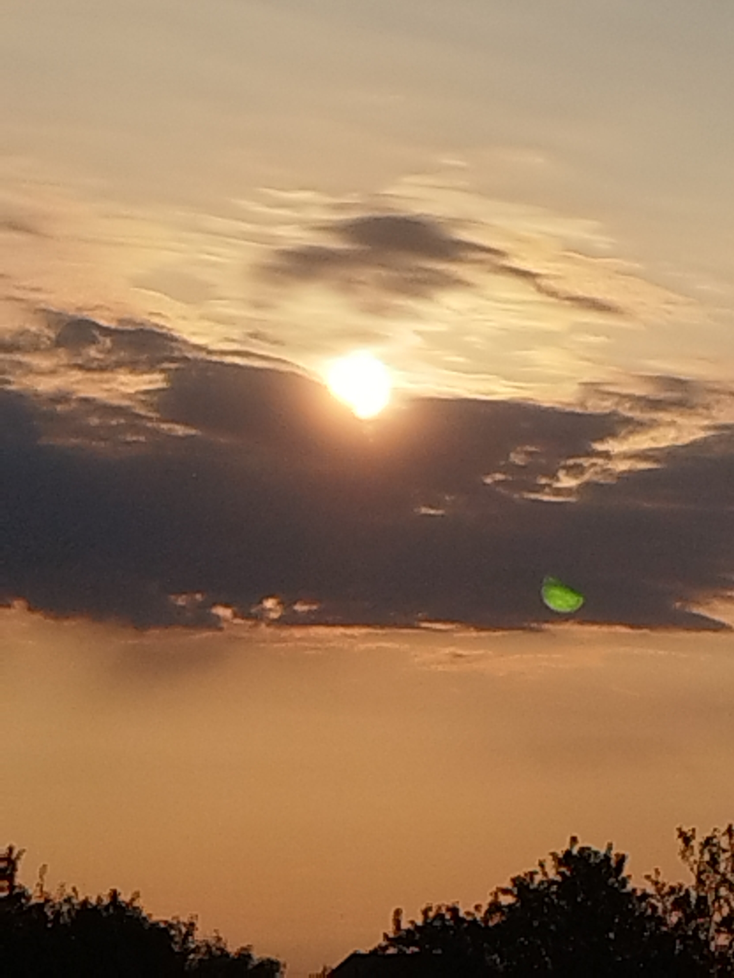 The image depicts a sunset in Vidra, Romania, with the sun partially obscured by clouds. A small, bright green object, possibly a leaf or a piece of debris, is visible floating in the sky to the right of the sun. The lower portion of the image shows the silhouettes of trees against the orange sky. The scene is bathed in warm, golden light, characteristic of a sunset. There are no people or discernible actions taking place in the image.