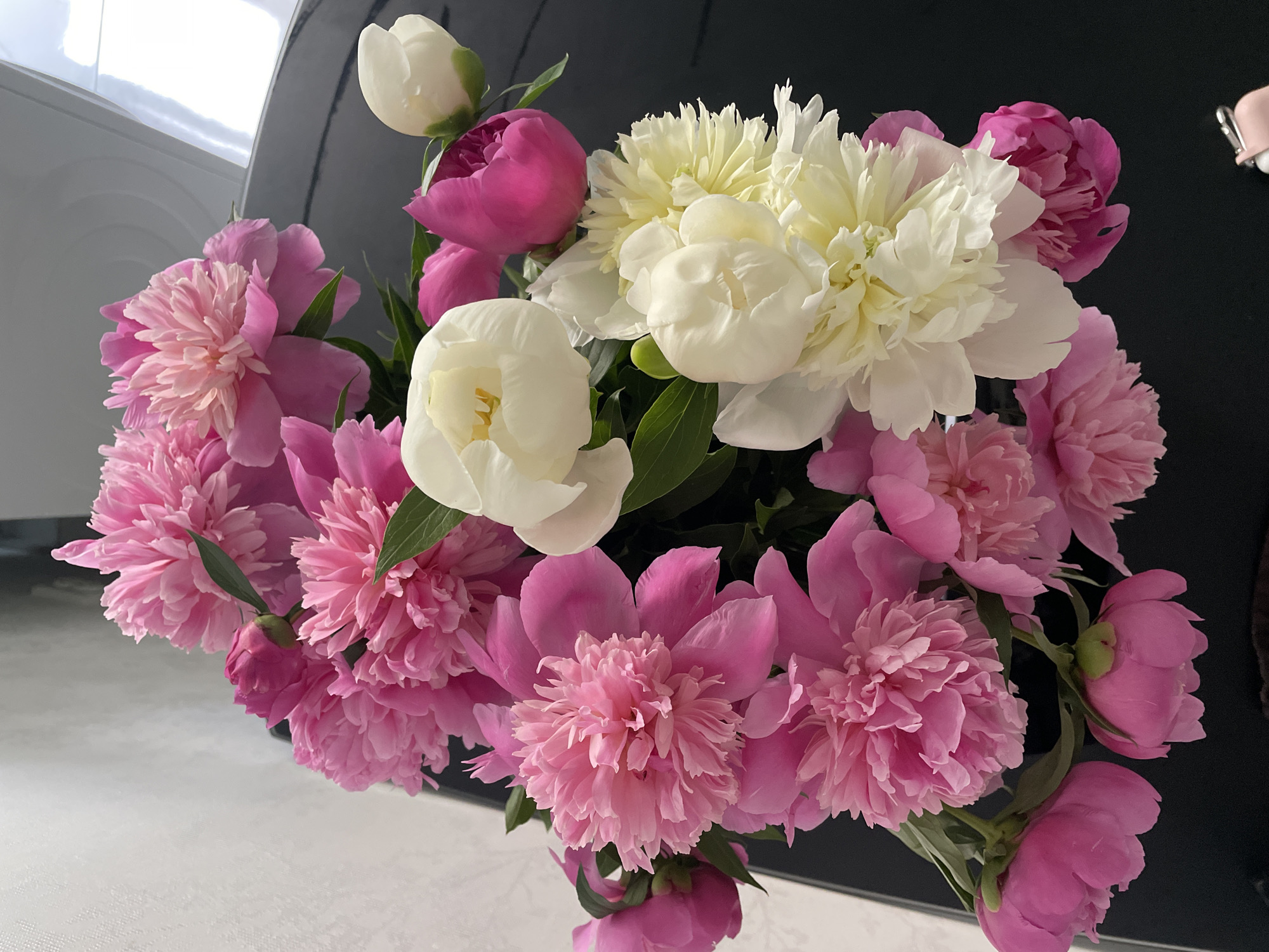 The image presents a vibrant, close-up view of a large bouquet of peonies, showcasing a mix of pink, white, and cream blooms. The flowers are densely clustered, filling much of the frame. Various stages of bloom are visible, from tight, deep fuchsia buds and partially open blossoms with ruffled petals, to fully unfurled, lush white and cream peonies. Interspersed green leaves add to the natural arrangement.
The lighting is bright and even, suggesting an indoor setting, likely during the daytime. The background is composed of contrasting elements: a glossy, dark surface, possibly furniture, on the upper right and top, which reflects light, and a lighter, subtly textured surface, likely a table, on the lower left and bottom. The bouquet appears fresh and is the sole subject of the photograph. There are no people, visible text, or discernible activities taking place. The overall scene evokes a sense of natural beauty and elegance. The location context provided is Rozsoshentsi, Ukraine.