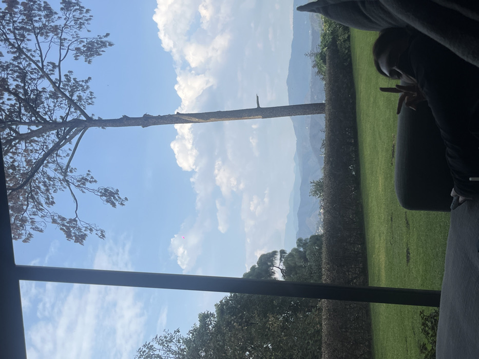 An angled view through a window reveals a bright, partially cloudy sky. A tall, bare tree trunk rises against the sky, with a leafy tree to its left. A meticulously manicured lawn is visible, bordered by a tall, thick hedge. Distant mountains are silhouetted in the background. To the right, the arm of a person sits on a couch, partially obscured by shadow. The scene suggests a peaceful, indoor setting overlooking a scenic outdoor landscape.