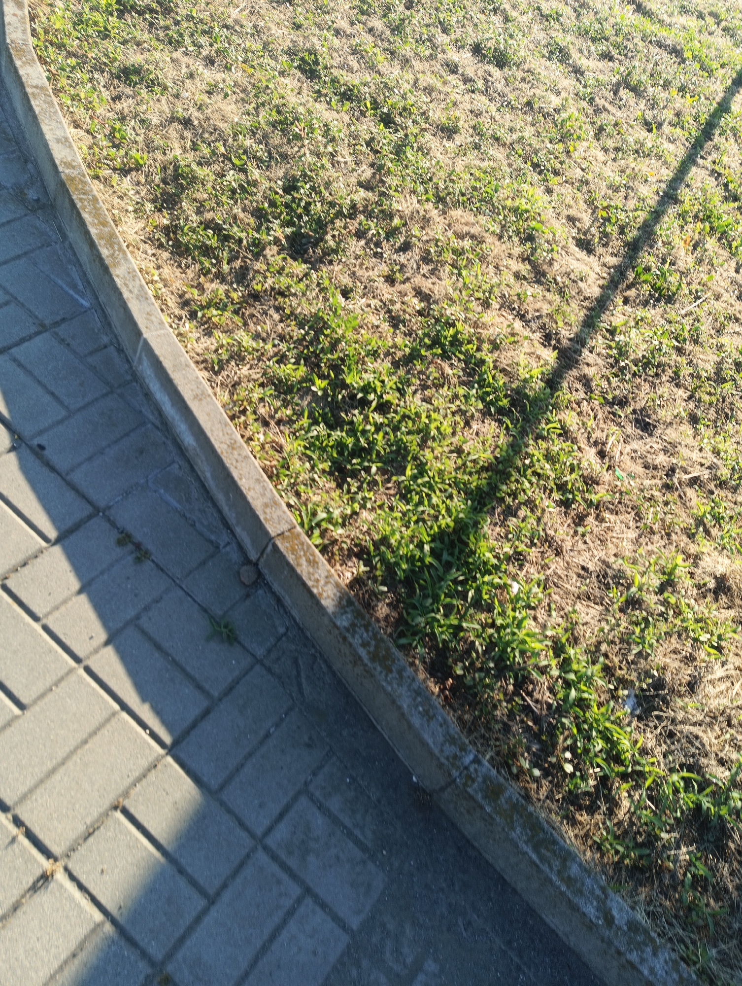 The image depicts a sunlit, outdoor scene featuring a paved walkway bordered by a concrete curb and a patch of dry grass interspersed with sparse green vegetation. A distinct shadow of a pole or thin vertical object stretches across the grass and the walkway. The paving stones are laid in a herringbone pattern. The environment appears to be a public space, possibly a park or sidewalk area, and the time of day is likely late afternoon or early morning due to the long shadow. The location is identified as Karnobat, Bulgaria, suggesting a European setting. There are no people or animals visible in the frame.