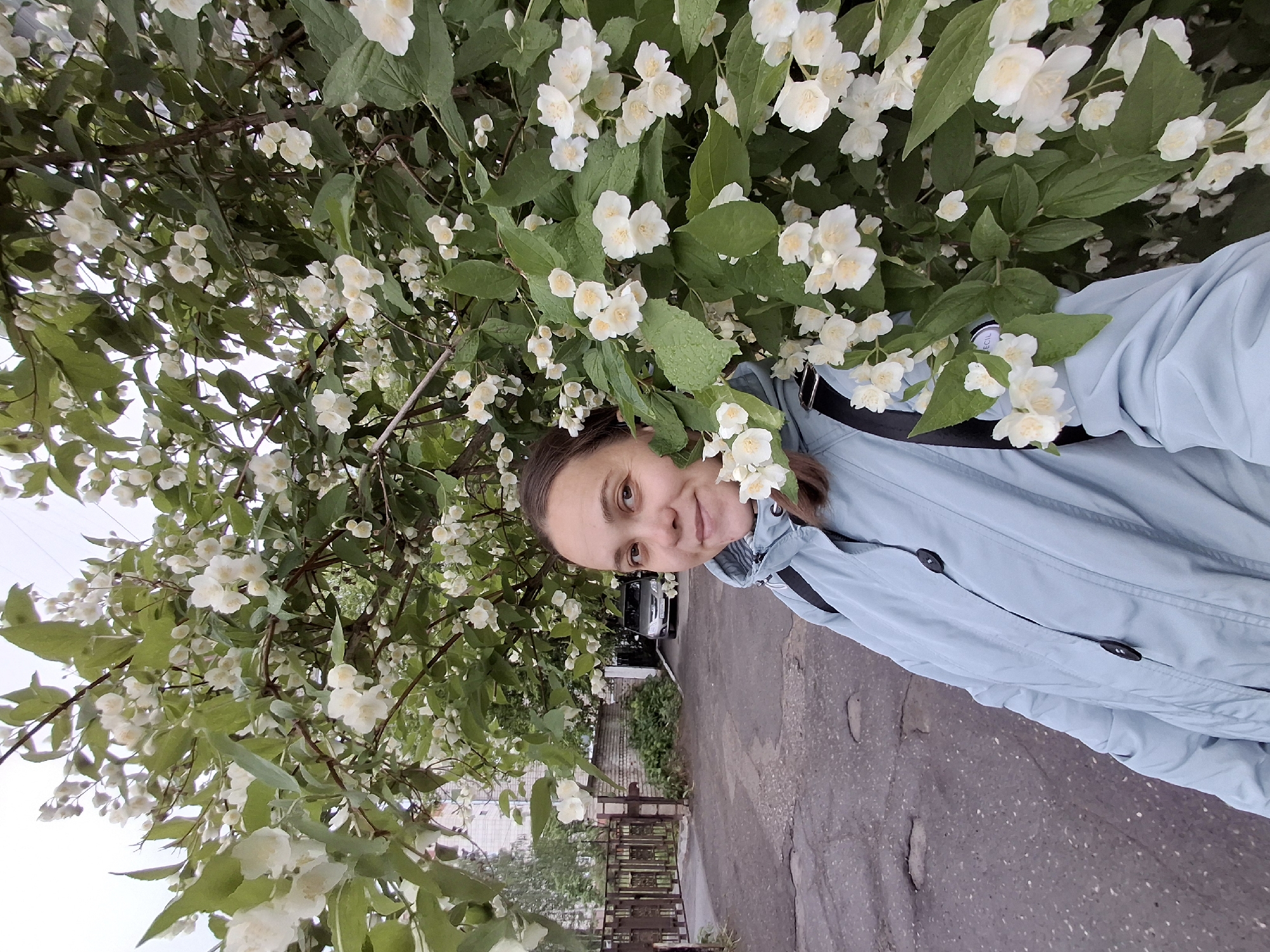 A woman is standing in front of a flowering tree. She is wearing a light blue jacket and has dark hair pulled back. The tree is covered in small, white flowers with green leaves. The background includes a paved road, a fence, and a building. A black car is parked behind the fence. The location is likely Chaikovsky, Russia, based on the information provided.