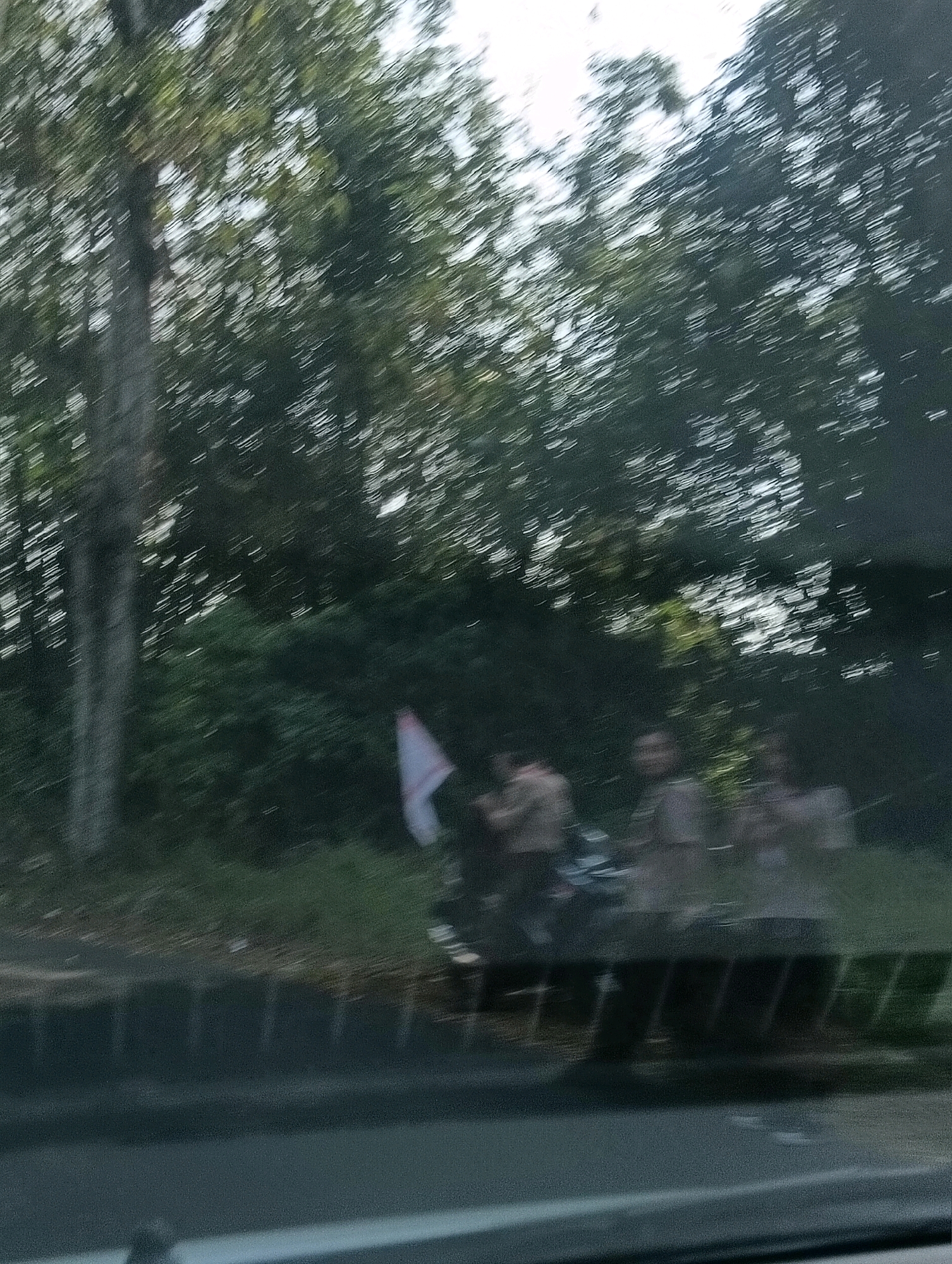 The image captures a scene on a roadside in Tomohon, Indonesia, characterized by motion blur due to the camera's movement. In the foreground, a dark, reflective surface, likely a vehicle's windshield, obscures the lower portion of the scene. Beyond this, a line of dark, rectangular structures, possibly a barrier or fence, runs horizontally.
The midground features a grassy roadside with several individuals, appearing to be young people or students, some of whom are wearing uniforms. One individual is holding a small white and red flag, suggesting a possible event or ceremony. These individuals are positioned near what appears to be a motorcycle.
The background is dominated by lush green foliage, with tall trees and dense vegetation. The motion blur is particularly evident in the trees, creating streaks of green and white light, indicative of a fast shutter speed or camera shake. The sky is partially visible through the trees, appearing bright and possibly overcast. The overall impression is of a fleeting glimpse of a local scene in Tomohon, observed from a moving vehicle.