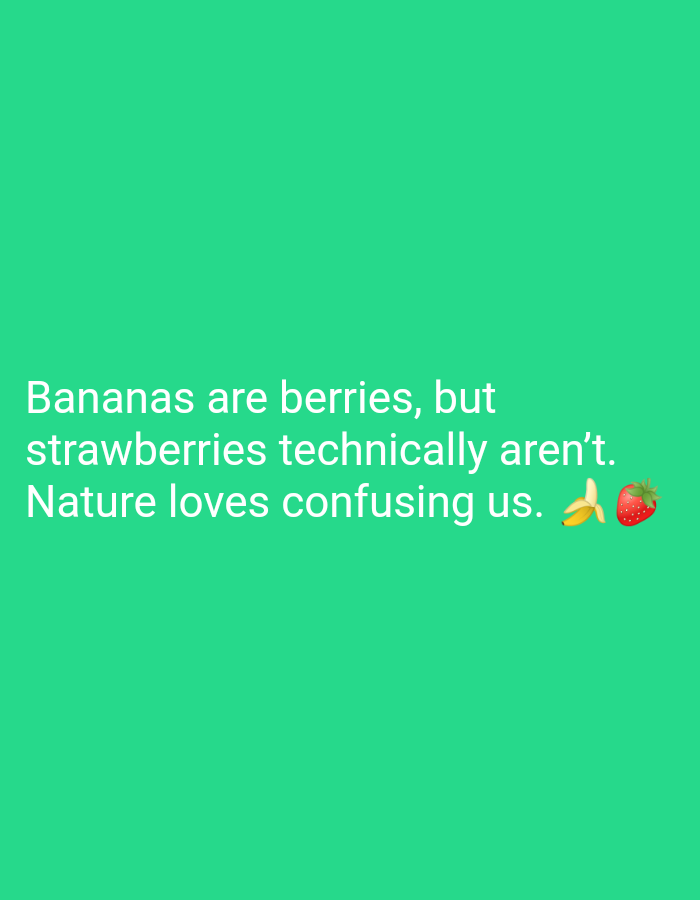 The image is a digital graphic with a bright green background. White text is overlaid on the graphic, reading "Bananas are berries, but strawberries technically aren't. Nature loves confusing us." To the right of the text, there are emojis of a banana and a strawberry. The image does not contain any information about Karangsambung, Indonesia.