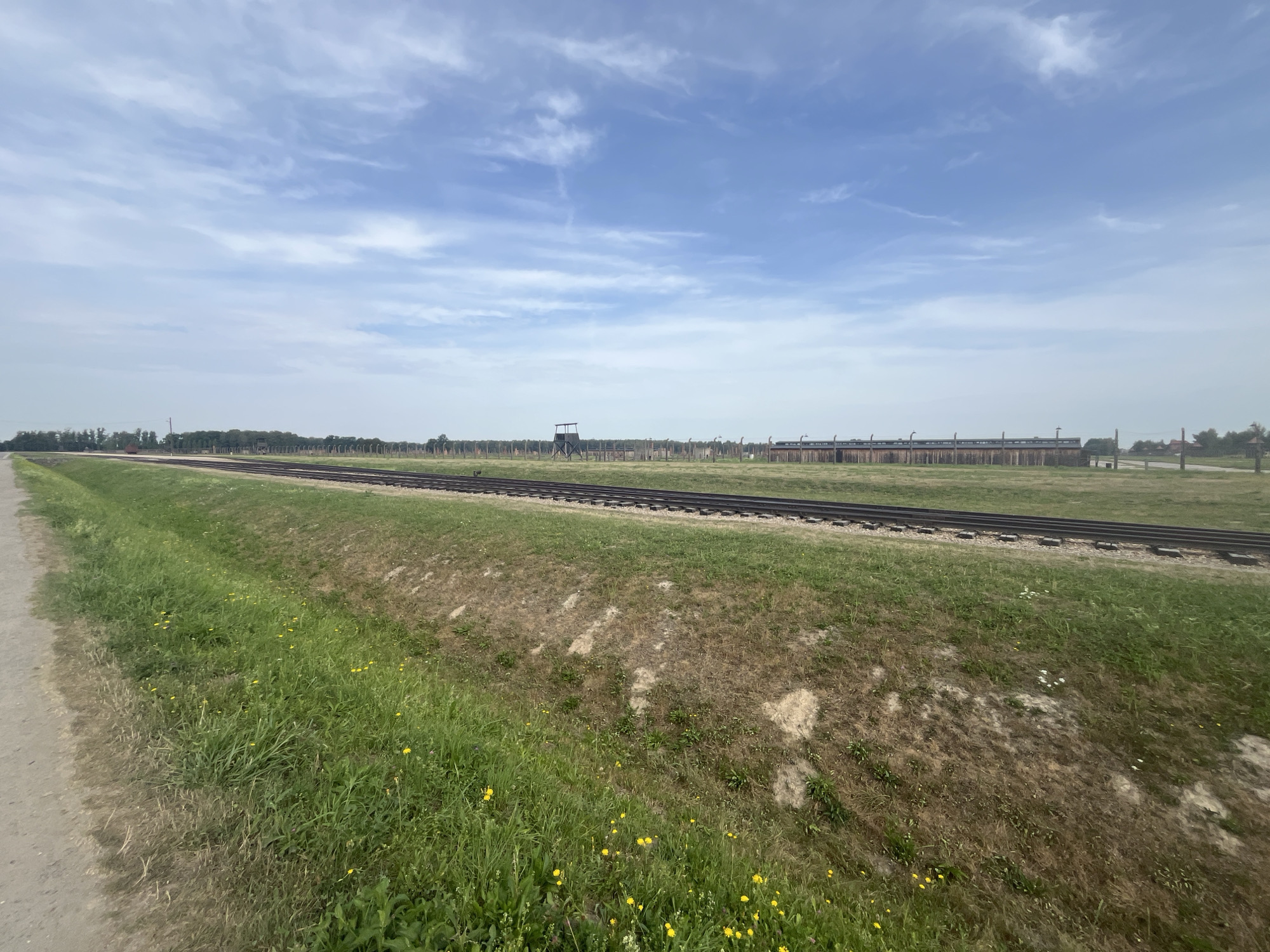 The image depicts a wide, outdoor scene with a clear sky and a landscape that suggests historical significance. In the foreground, a dirt path runs along the left edge of the frame, bordered by a grassy embankment with patches of dry, sun-scorched earth and scattered yellow wildflowers. Parallel to this path, a set of train tracks stretches across the middle ground of the image, disappearing into the distance.
Beyond the train tracks, the landscape transitions to a flat, open field. In the background, a long, low building with a dark roof and wooden siding is visible, suggesting it might be a barrack or other structure. To the right of this building, a tall, dark wooden watchtower stands prominently, indicative of a fortified or guarded area. Further in the distance, a line of trees forms a backdrop to the scene.
The overall impression is one of a somewhat stark and historically charged environment. The location is the Auschwitz-Birkenau State Museum in Brzezinka, Poland, a former Nazi concentration and extermination camp. The train tracks were used to transport victims to the camp, and the watchtowers and barracks were part of the camp's infrastructure. The present-day scene, with its overgrowth and wildflowers, contrasts with the grim history of the site.