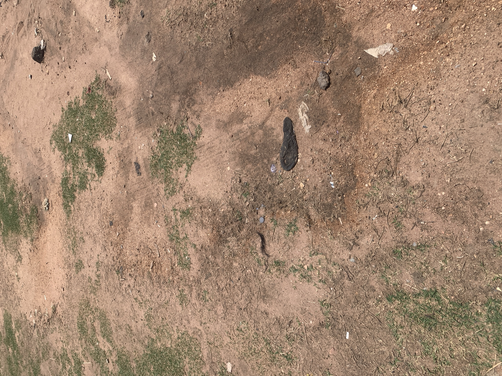 The image shows a dusty, dry, outdoor environment with patches of sparse green grass and dried vegetation. The ground is a mixture of reddish-brown soil and sand, with some areas appearing darker and muddier, suggesting recent moisture. Scattered across the ground are various small items, including a black flip-flop, a small gray rock, and several pieces of white and translucent debris that appear to be litter, such as plastic fragments and paper. The scene is open, with no visible buildings or structures, indicating a rural or undeveloped area within Jauro Yinu, Nigeria. There are no people or animals present in the image. The lighting suggests it is daytime.