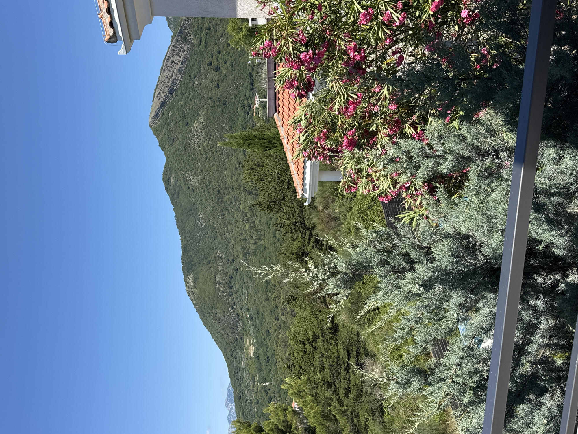 A clear, bright, sunny day is depicted in Kavač, Montenegro, with a panoramic view of lush green mountains under a vast, cloudless blue sky. In the foreground, a dark metal railing runs horizontally across the bottom of the frame, partially obscuring the view of a dense evergreen shrub with a blue-green hue. To the right of this shrub, a flowering bush with numerous vibrant pink blossoms is visible, its branches laden with flowers. Behind the foreground vegetation, the terracotta tiled roof of a white building is partially visible on the right side of the image, suggesting a residential area. The mid-ground is a tapestry of dense green trees and vegetation, interspersed with glimpses of more buildings with red roofs and white walls nestled into the hillside. The background is dominated by a large, verdant mountain range that rises majestically against the horizon. The overall scene evokes a sense of tranquility and natural beauty typical of a Mediterranean landscape.