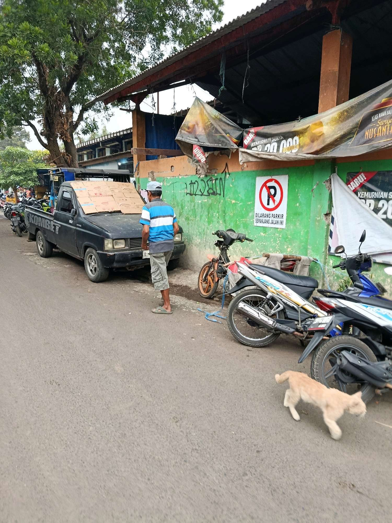 A light-colored cat is walking on the right side of a paved road in Bululawang, Indonesia. A black pickup truck with cardboard boxes on its hood is parked on the left side of the road. A man wearing a blue and white striped shirt and light-colored shorts is standing behind the truck. Several motorcycles are parked in front of a green wall with a "no parking" sign. A building with a corrugated metal roof is visible in the background.