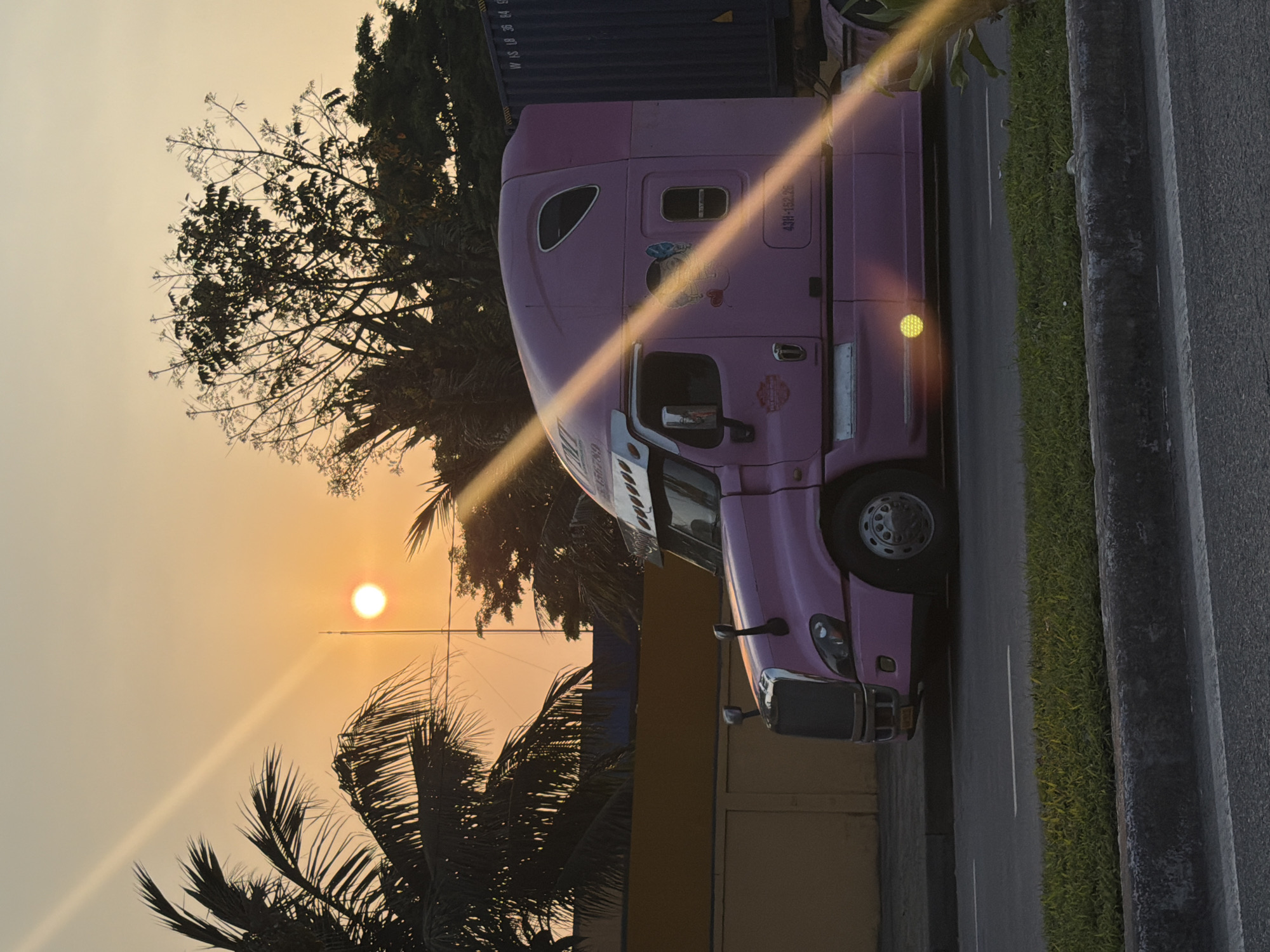 A pink semi-truck is parked on the side of a road. The truck is positioned on the right side of the frame, and its driver's side is visible. Behind the truck, a tree is silhouetted against an orange sunset. The left side of the frame is dominated by the sunset and the silhouette of palm trees. The truck is on the road next to a concrete barrier with grass between the road and the barrier. The road surface is asphalt. Given the presence of palm trees, this location is likely in a tropical region. The truck has what appears to be a U.S. DOT number on the door, which could suggest it's a vehicle of American origin. There is no specific information to confirm that this is in Da Nang, Vietnam. It is parked on a paved road with a concrete barrier and grass. The lighting suggests it's near dusk or dawn.