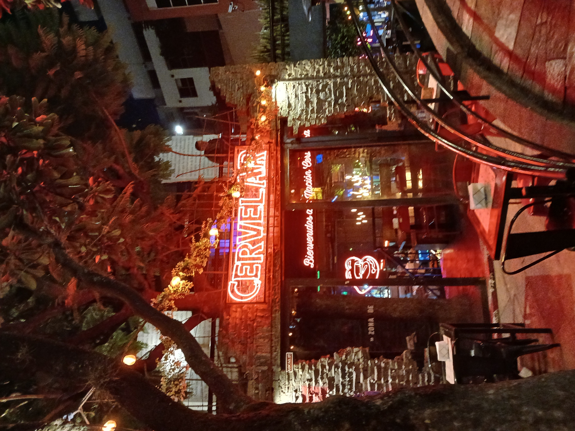 An outdoor view of the "Cervelar" bar in the Palermo neighborhood of Buenos Aires, Argentina. The bar's facade is made of stone and decorated with a neon sign, vines, and string lights. There is a tree with exposed roots in the foreground. Through the windows of the bar, there are tables and chairs. The image is taken at night, and the lighting is dim with red accents.