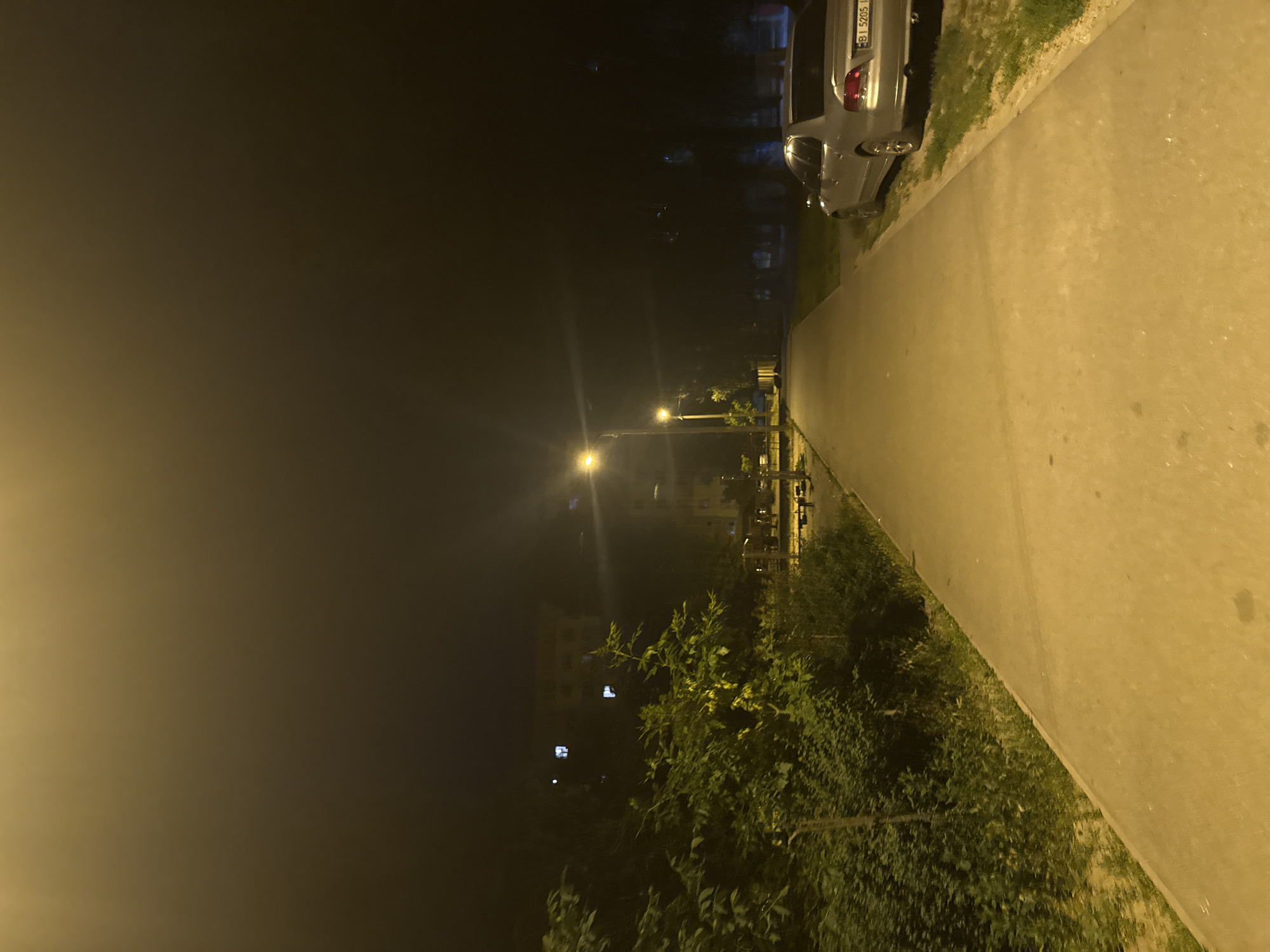 The image depicts a street scene at night in Dnipro, Ukraine. A silver car is parked on the right side of the frame, its rear visible. The car has a license plate with the text "B1 5205 IB". Adjacent to the car is a paved walkway. To the left of the walkway, there is a grassy area with bushes and trees. In the background, streetlights illuminate the scene, and apartment buildings can be seen, with some windows lit. The overall impression is one of a quiet, dimly lit urban environment at night. The time of day is clearly night, indicated by the artificial lighting and the darkness. The weather appears to be clear as there are no indications of rain or fog. The presence of apartment buildings, a car, and streetlights strongly suggest an urban or suburban setting.