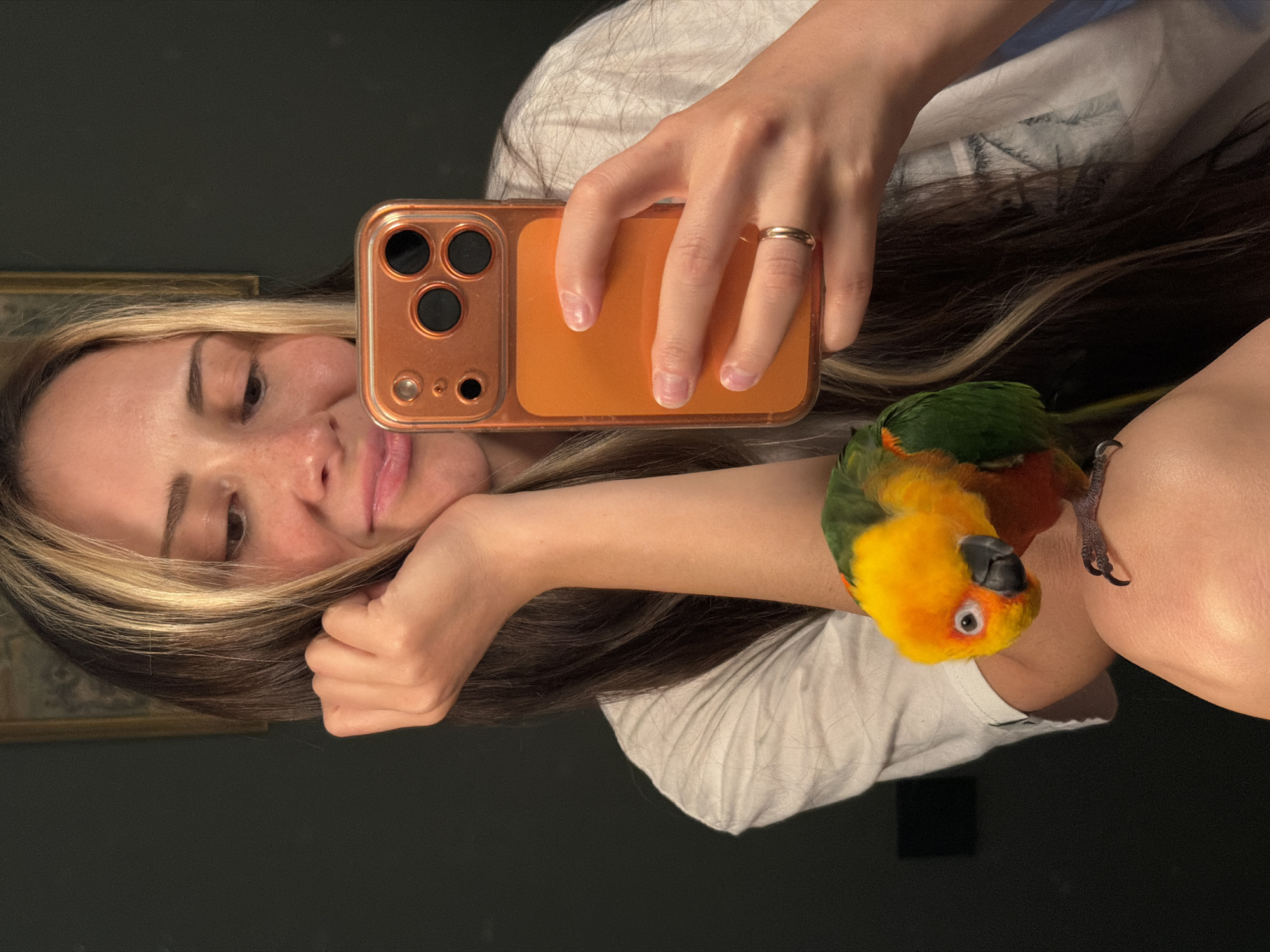The image shows a selfie taken by a person holding an orange smartphone. The person has long, dark brown hair with blonde highlights and is wearing a white t-shirt. Their face is partially visible, tilted towards the camera, with their left arm supporting their head. A small, colorful parrot with green, yellow, and orange plumage is perched on the person's right arm. The background is dark and appears to be indoors, possibly a room with a framed picture visible on the left. The lighting suggests it could be evening or an indoor setting with artificial light. The overall mood seems relaxed and affectionate, as indicated by the interaction between the person and the parrot. The image is oriented sideways.