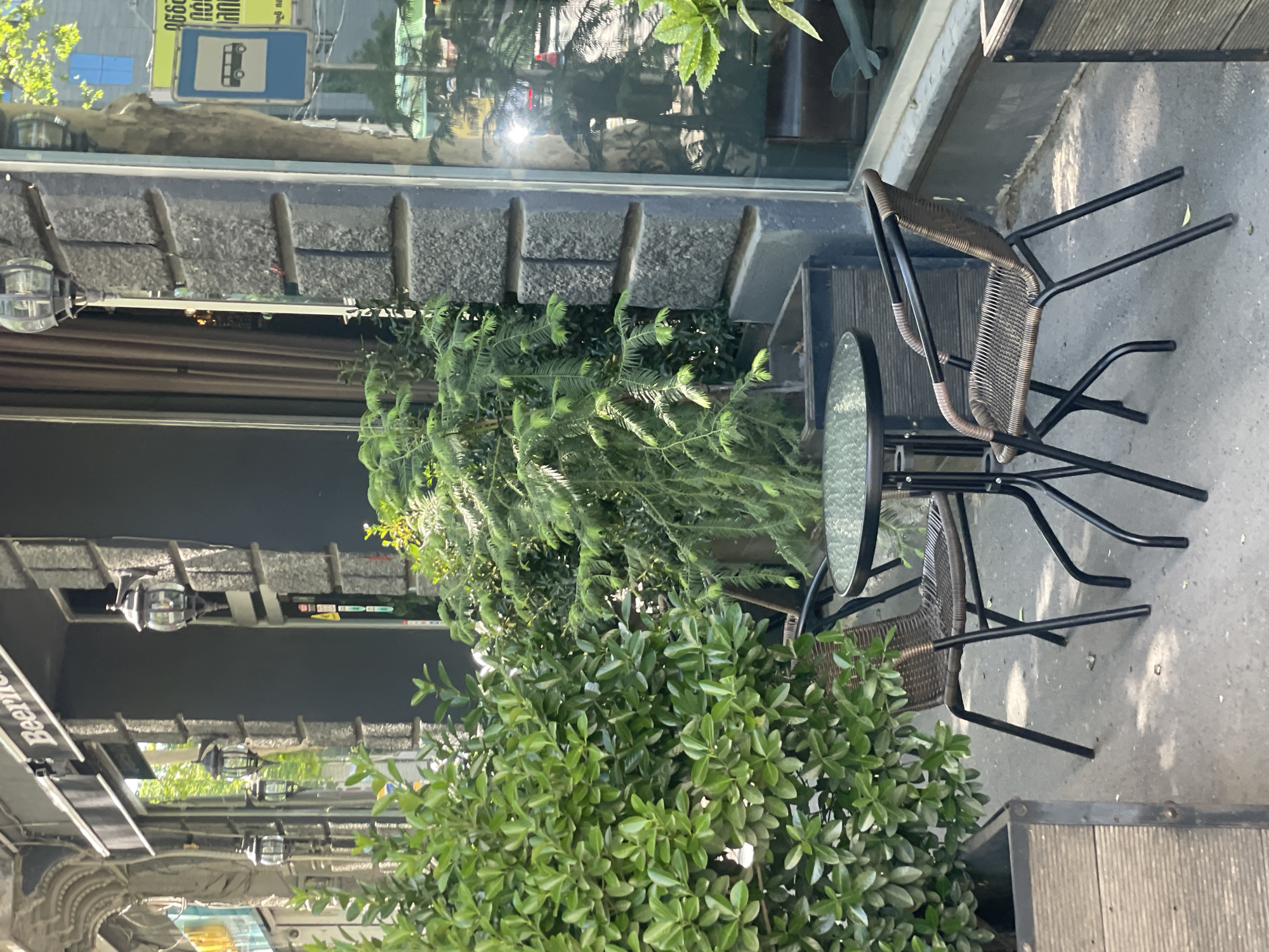 A table and chairs are positioned outside a building with a large glass window. Plants are clustered around the table. The location is Tbilisi, Georgia.