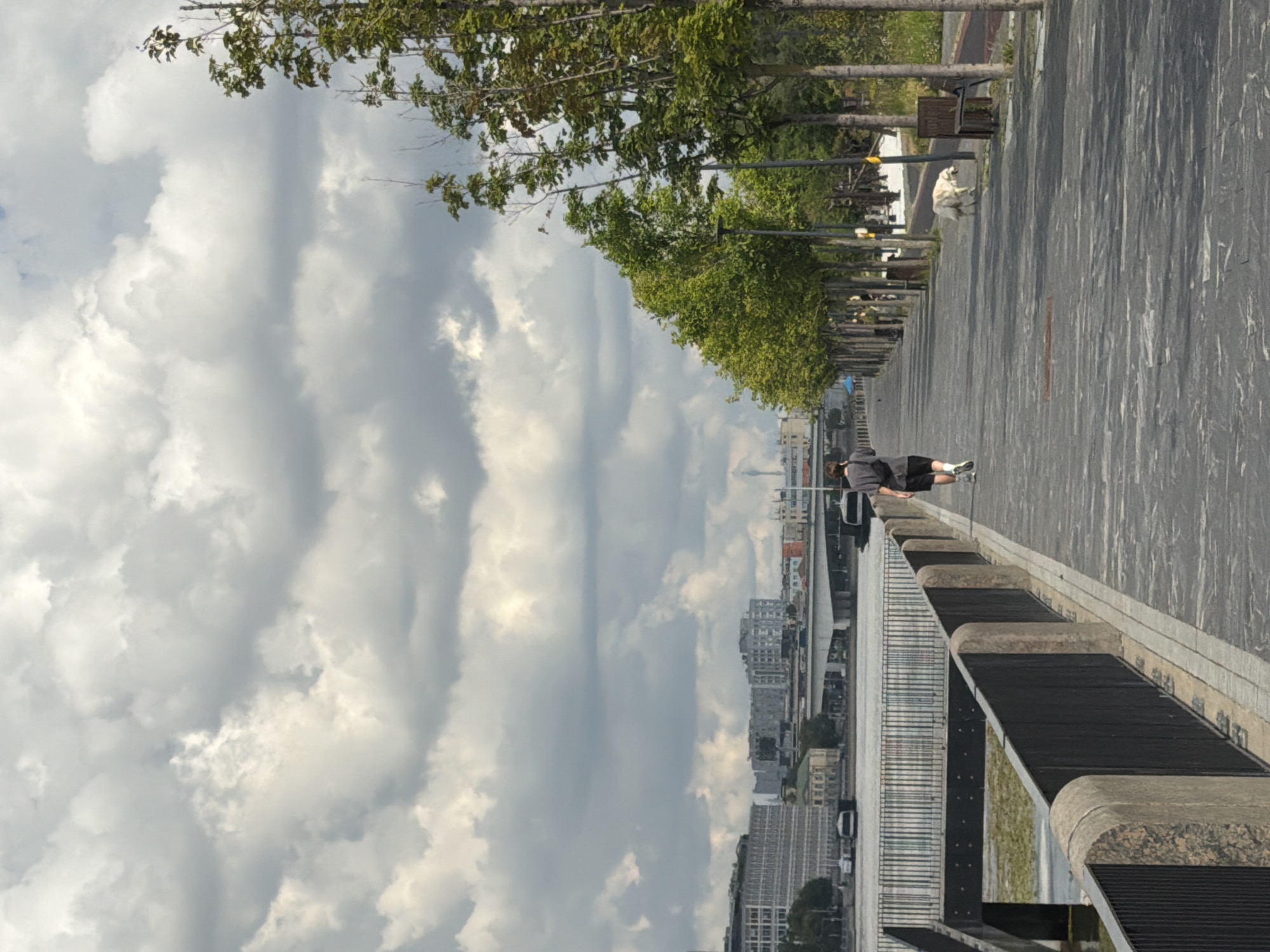 This is a full-shot, eye-level, outdoor photograph taken on a cloudy day in Moscow, Russia. The scene depicts a person jogging on a paved walkway next to a body of water, possibly a river. The walkway is lined with trees on the right side of the frame, casting long shadows. In the background, there is a cityscape with buildings and a bridge. A dog is visible on the walkway, a short distance from the jogger. The jogger is wearing a dark t-shirt and shorts with a black fanny pack. The dog appears to be light-colored and is walking towards the right. The sky is filled with large, dramatic clouds. The overall impression is a quiet, urban scene with elements of nature and human activity.