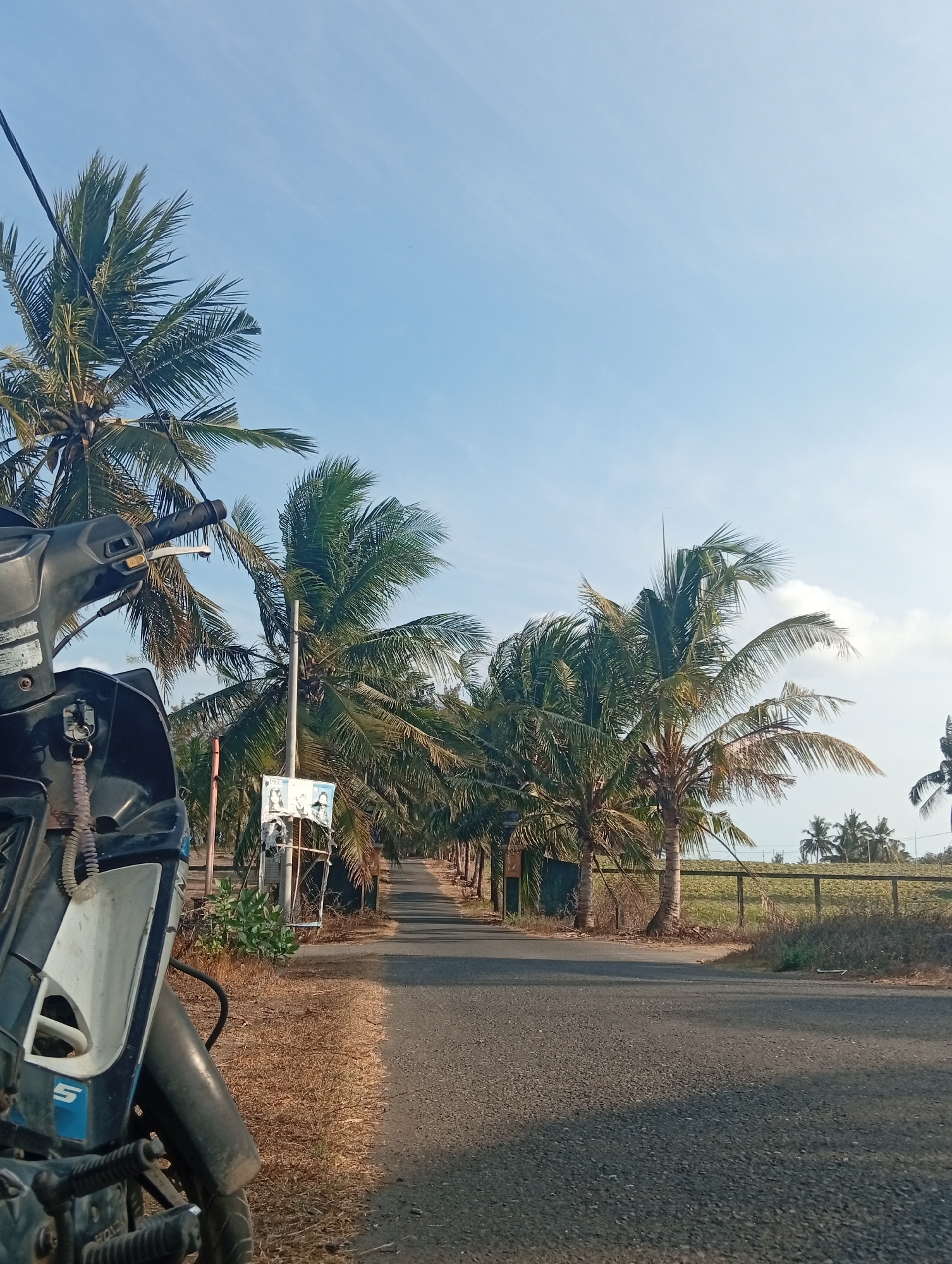 The image depicts a roadside scene in Tlogodepok, Indonesia, characterized by a clear blue sky with sparse clouds. In the foreground, a portion of a dark-colored motorcycle is visible on the left, with its handlebar and front fairing in focus. The motorcycle is parked on the side of an asphalt road. A thin electrical wire stretches diagonally across the upper left portion of the frame, passing by the fronds of a coconut tree.
The road stretches into the distance, lined on both sides by numerous coconut trees, creating an avenue effect. The ground on the roadside is covered with dry grass and some low-lying vegetation. A simple wooden fence can be observed running along the right side of the road, bordering a field or agricultural area. A few signs are mounted on a pole on the left side of the road, near the motorcycle. The overall environment suggests a rural or semi-rural setting within Tlogodepok, Indonesia, possibly during daylight hours given the bright sunlight and clear sky.