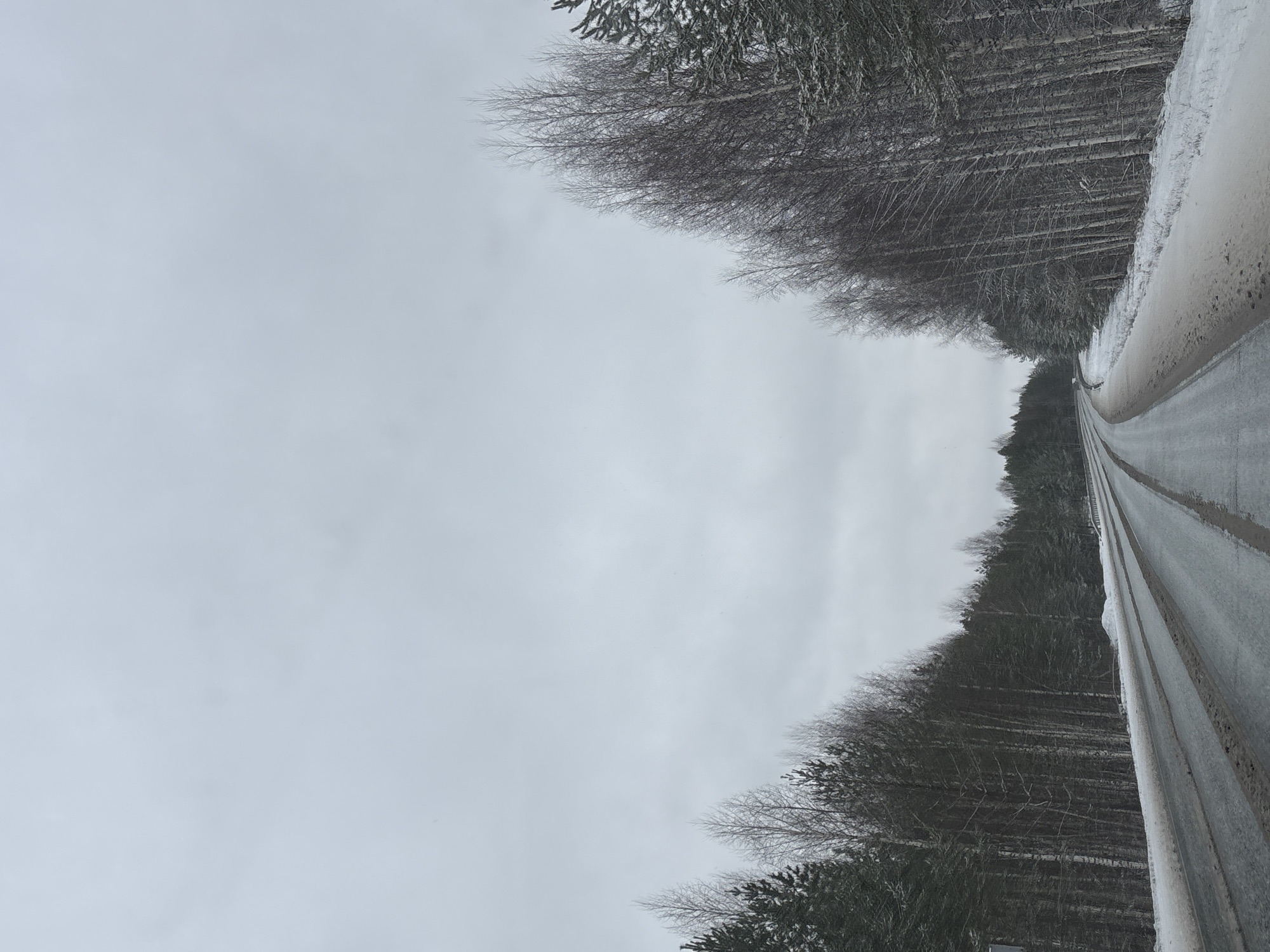 A view of a road leading through a forest in winter, with a gray overcast sky above. The road, slightly wet, runs off into the distance, with tire tracks visible on the surface. On either side of the road, trees line the area, their branches bare and some dusted with snow. There is a guardrail along the side of the road on the right, also covered in snow. The image likely depicts an area near or within the city of Chaikovsky, Russia, given the environment and presumed location.