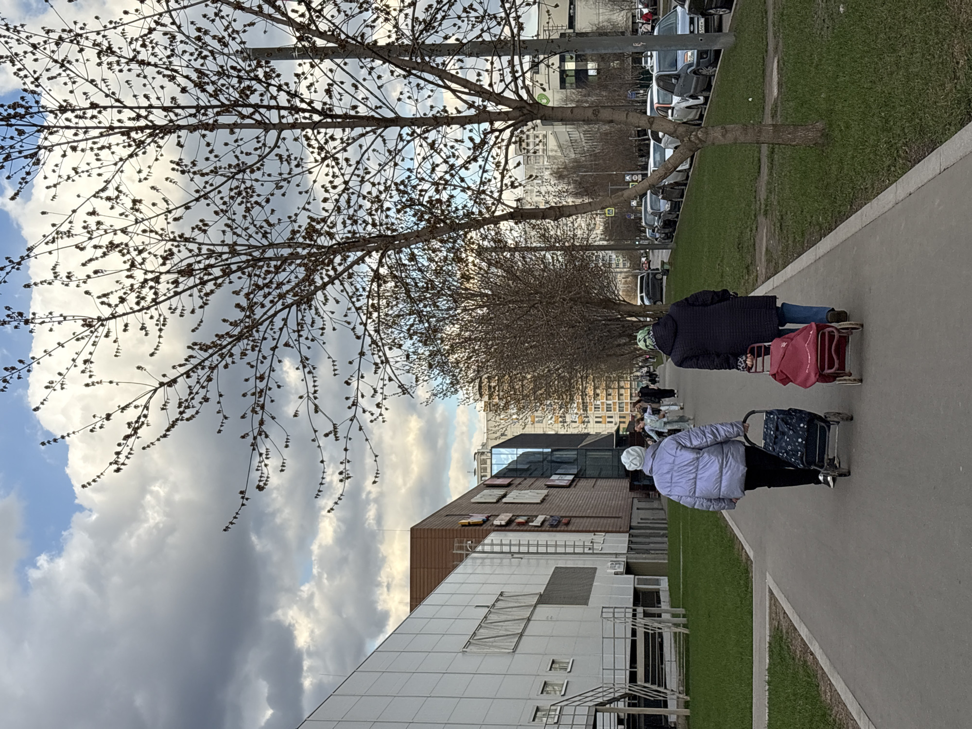 The image captures a street scene in Moscow, Russia, depicting two elderly women walking along a sidewalk. They are pulling wheeled shopping carts behind them. The sidewalk is adjacent to a grassy area and a building with a facade that combines white and brown panels, interspersed with what appear to be decorative elements. A row of bare trees lines the sidewalk. Beyond the trees, a street is visible with parked cars. The sky is overcast with a mix of dark and light clouds.