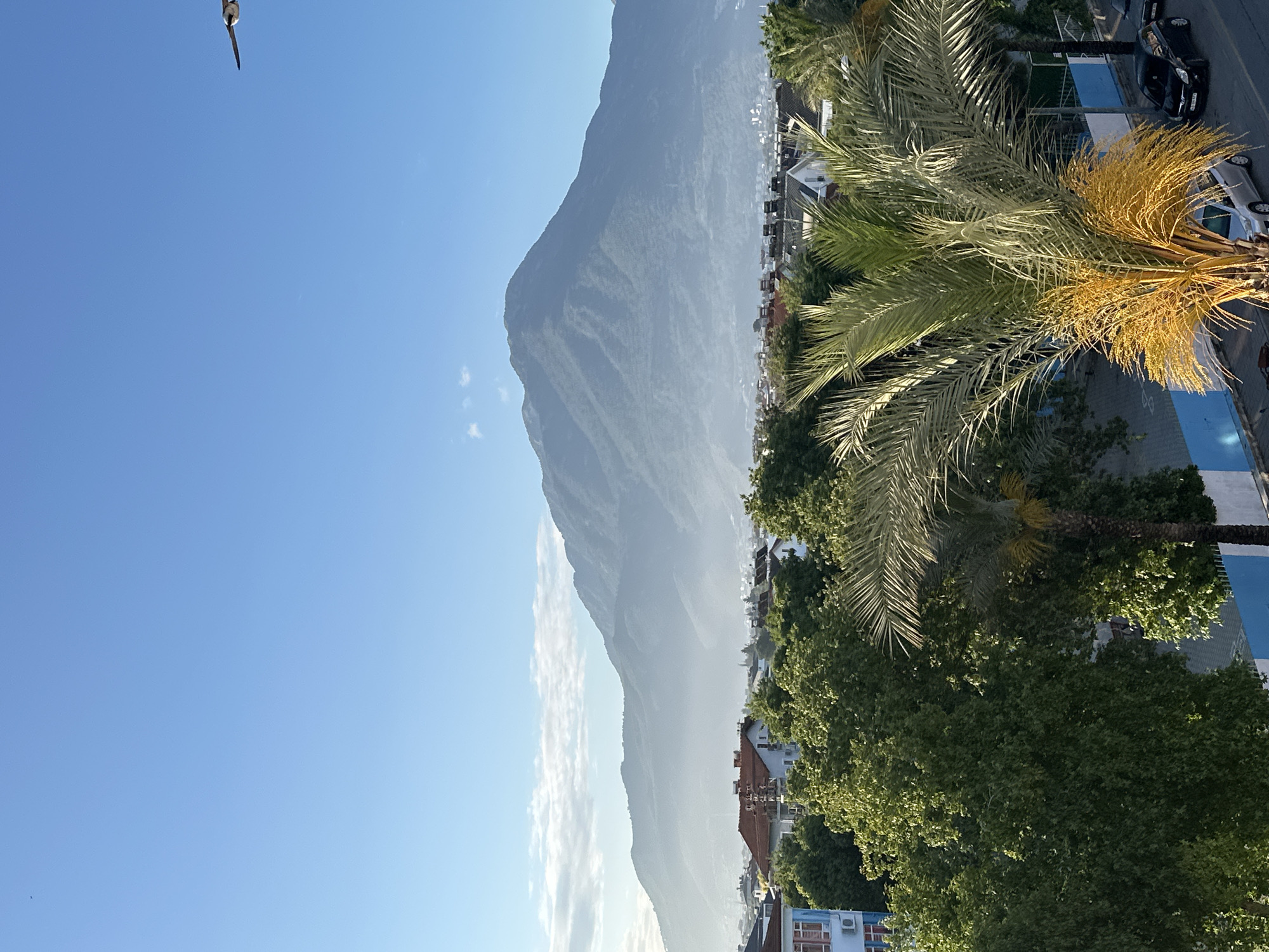 The image depicts a daytime outdoor scene in Fethiye, Turkey, with a mountainous backdrop. Dominating the left side is a clear blue sky. The central view features a large, hazy mountain range. In the foreground and on the right, dense green trees and a palm tree are visible, partially obscuring buildings and roads. Cars are parked in designated blue-painted areas. A bird is seen in flight in the upper left corner.