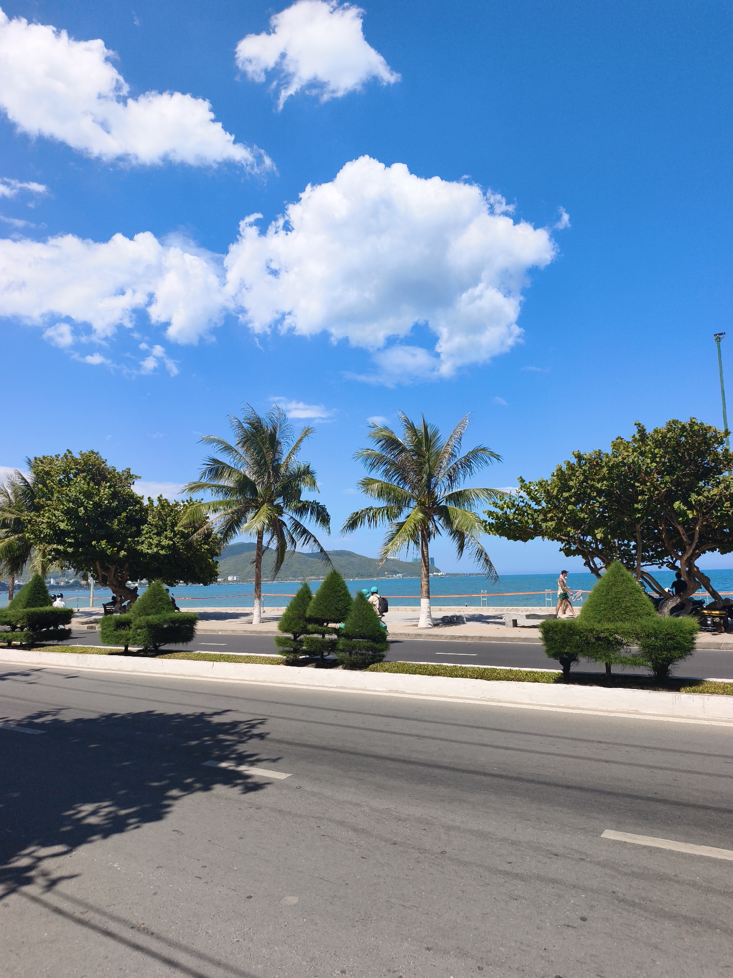 The image captures a sunlit scene along a coastal road in Nha Trang, Vietnam. The sky is a vibrant blue, dotted with fluffy white clouds. In the foreground, a paved road stretches across the frame, with shadows from trees falling onto it. Beyond the road, a row of neatly trimmed conical bushes lines a pedestrian walkway. Further back, several palm trees and lush green trees stand tall, some reaching towards the sky. The turquoise ocean is visible behind the trees, meeting a distant, hazy mountain range. A few people are seen strolling along the walkway or on bicycles. The overall atmosphere is one of a pleasant, sunny day in a tropical coastal city.
