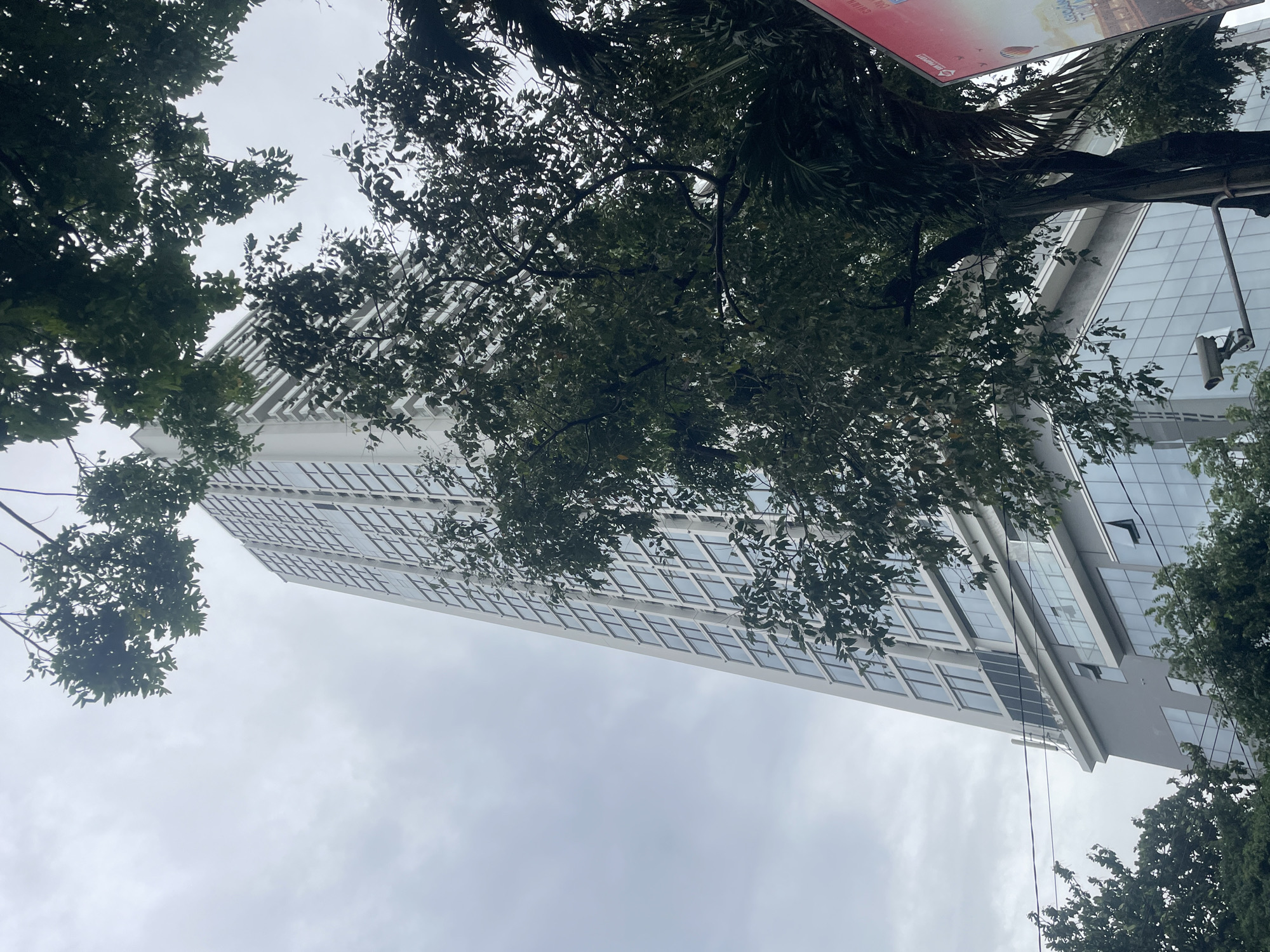 The image depicts a tall, modern building in Nha Trang Ward, Vietnam, viewed from below amidst trees against an overcast sky. The building has a white facade and numerous rectangular windows. Tree branches and leaves partially obscure the view of the building and the sky. A sign is partially visible at the upper right.