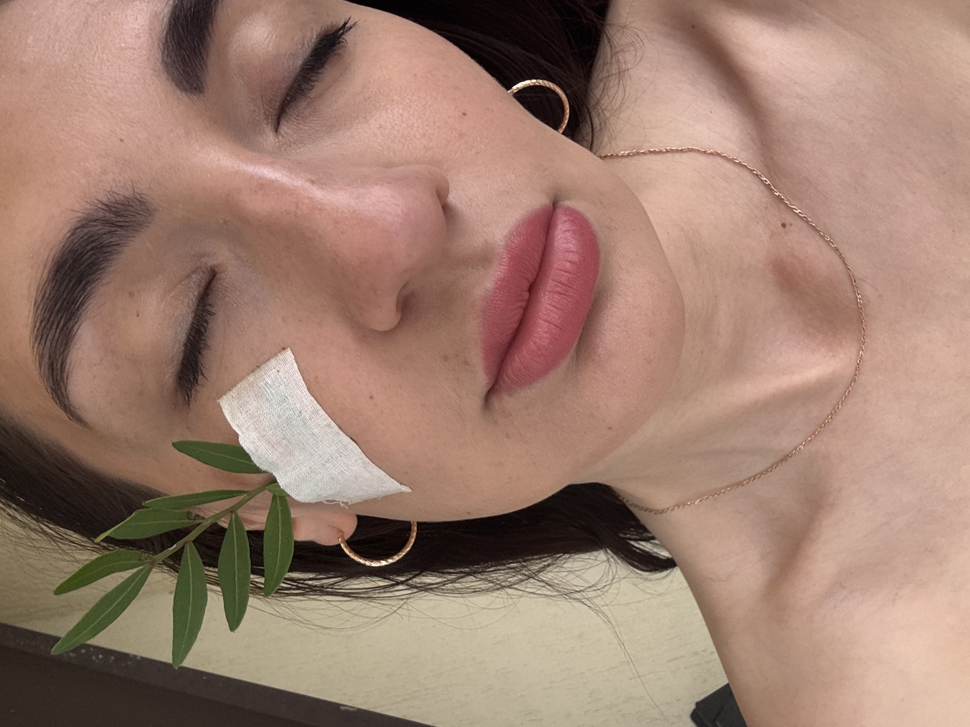 A serene, close-up portrait shows a person, likely a woman, lying down with her eyes closed, captured in a diagonal orientation. She has dark hair, neatly defined eyebrows, and full lips enhanced with a matte pink lipstick. A textured golden hoop earring is visible on her right ear, and a delicate gold chain necklace drapes across her bare collarbone.
A small, white, rectangular piece of gauze or bandage is affixed to the skin near her left eyebrow, suggesting a recent treatment or dressing. Beneath the bandage, a slender green branch with narrow, pointed leaves is artfully placed, adding a natural and organic touch to the scene. The person's expression appears peaceful and relaxed. The background is a plain, light-colored surface, creating a minimalist setting. There is no visible text in the image. The overall aesthetic suggests a focus on beauty, relaxation, or a spa-like experience, possibly related to an aesthetic procedure. This image is from Sochi, Russia.