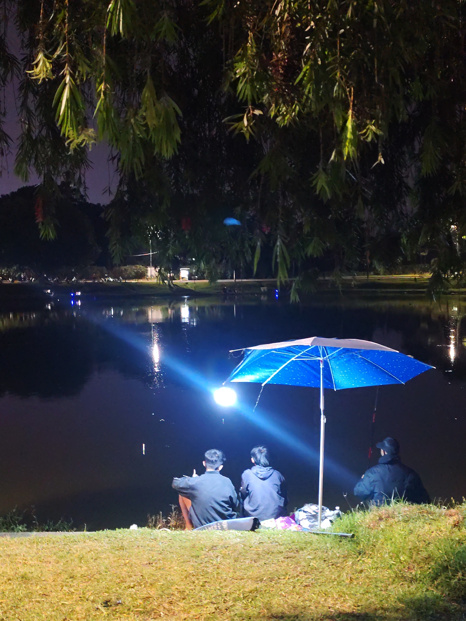 This vertical-format photograph captures a tranquil night scene by a body of water, likely in Da Lat, Vietnam. Three individuals are depicted from behind, seated on a grassy bank at the water's edge. They appear to be engaged in an activity like night fishing or simply relaxing by the lake.
In the mid-ground, the person on the left wears a dark long-sleeved top and light trousers. The central figure is dressed in a dark hooded jacket, while the third person on the right wears a dark jacket and a baseball cap. A prominent blue umbrella with white polka dots stands upright between the central and right figures, providing shelter. Adjacent to the umbrella, a bright, circular light source, possibly a fishing lamp, emits a powerful beam that illuminates the immediate water surface and creates a lens flare. Various bags and equipment are scattered on the grass beside the individuals.
The upper portion of the frame is dominated by the dark, drooping branches and slender green leaves of an overhanging tree, potentially a weeping willow, silhouetted against the dark night sky. The large expanse of dark water reflects the artificial lights from the immediate vicinity and faint, scattered lights from the distant shore, which appears as a dark silhouette of trees and faint structures. The overall mood is calm and peaceful, suggesting a quiet evening pastime. No discernible text is visible within the image.