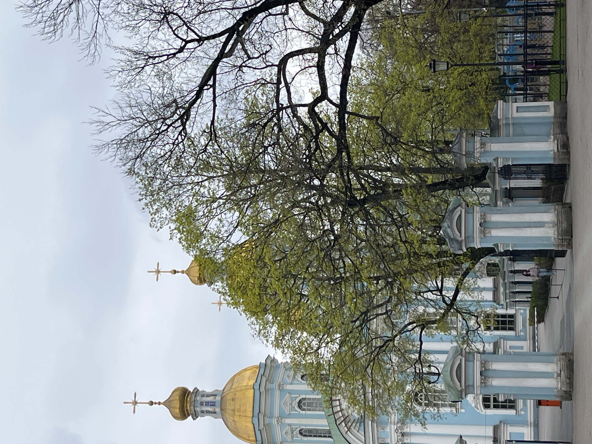 The image shows a sideways view of the Saint Nicholas Naval Cathedral in Saint Petersburg, Russia. The cathedral is painted light blue with white accents and has golden domes topped with crosses. A large tree with budding green leaves obscures part of the cathedral. A wrought iron fence, benches, and lampposts are visible to the side of the building. The sky is overcast. A few people can be seen sitting on the benches. The image is taken at ground level.