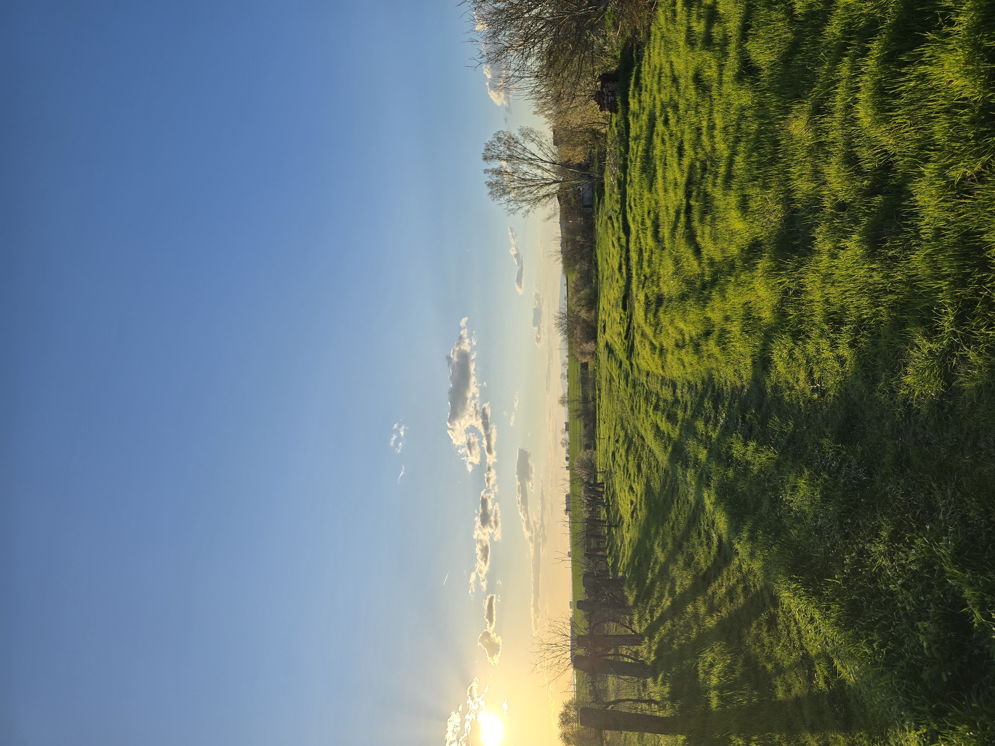 The image shows a landscape likely in the vicinity of Stara Reka, Bulgaria. A large expanse of green grass dominates the right half of the frame. A tree line with some buildings is visible between the grass and the sky. The left half of the image features a blue sky with scattered clouds. At the bottom, the sun is visible on the horizon, casting a warm glow. A fence line and tree shadows are visible in the foreground.