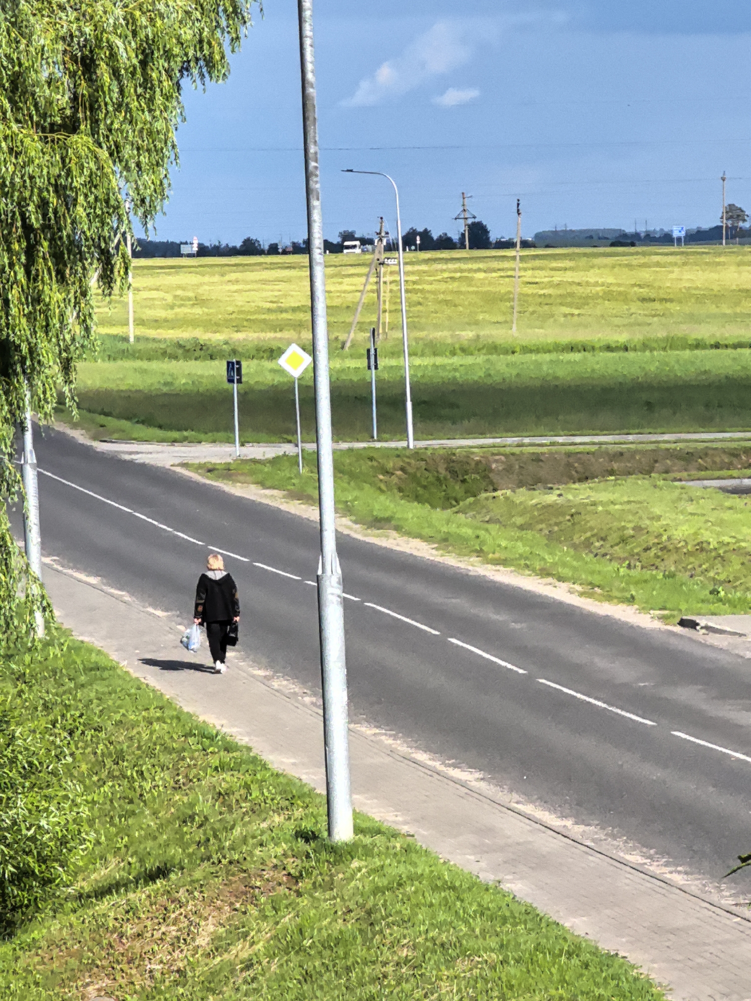 In an outdoor, daylight scene, a lone individual walks along a paved sidewalk beside a two-lane asphalt road. The person, seen from behind, is wearing a dark-colored jacket, dark pants, and white shoes. They are carrying two plastic bags, one in their left hand and another in their right, the contents of which are unclear. The road has a white dashed line marking its center. To the left of the sidewalk is a grassy verge, and beyond that, a dense, green tree with weeping branches partially obscures the upper left corner of the frame. Across the road, a large, flat field of yellow-green crops stretches to the horizon. Several utility poles and some distant structures, including what appears to be a radio tower or antenna, are visible against a bright blue sky with scattered white clouds. The environment suggests a rural or semi-rural setting.