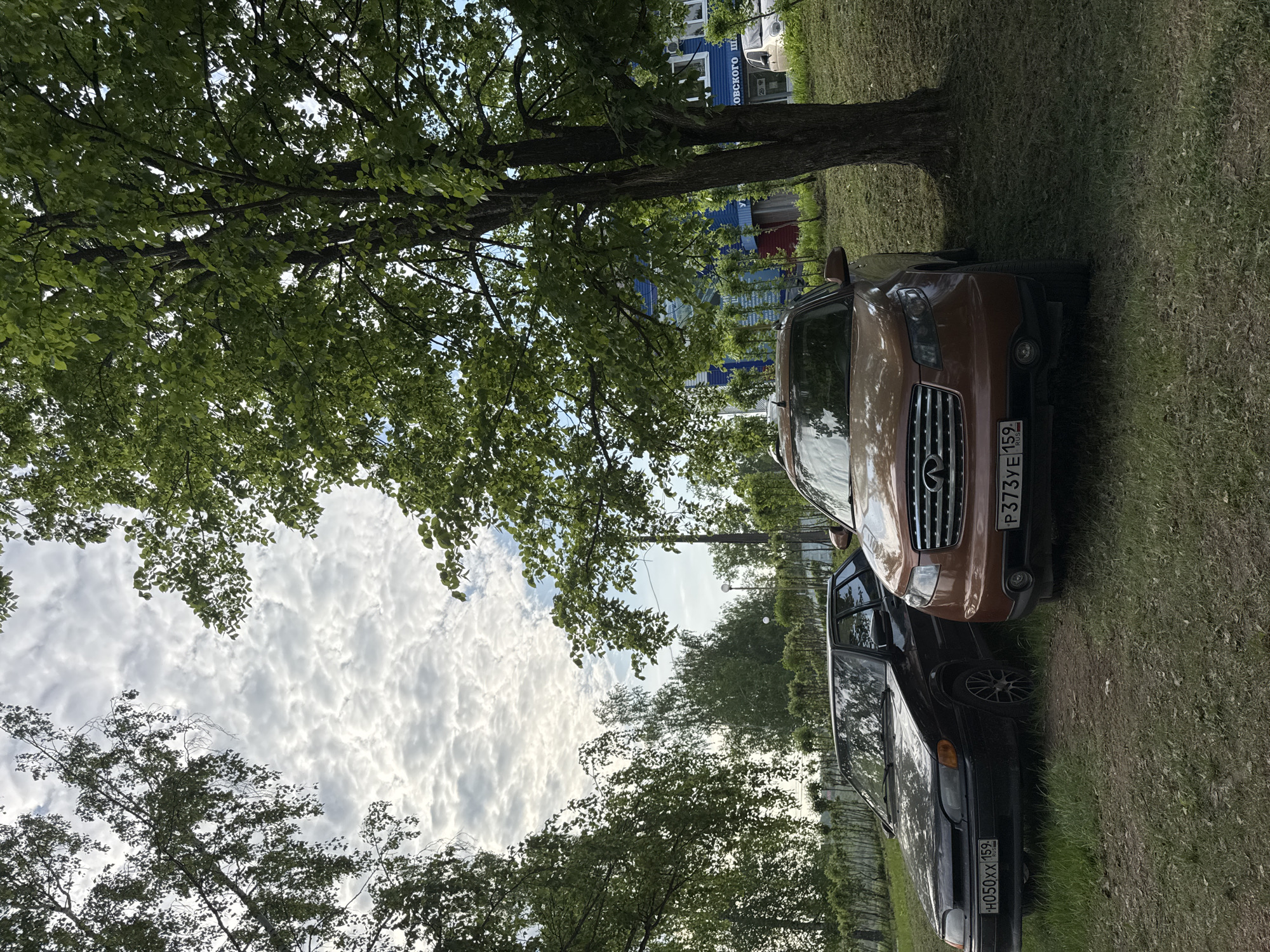 The image shows two cars parked on a grassy area beneath a tree, possibly in the city of Chaikovsky, Russia. The closer car is dark-colored, and the farther car is a brown Infiniti SUV. The license plate of the Infiniti reads "P373YE 159." The other car's license plate reads "H050XX 159". The tree's canopy extends overhead, and beyond the cars, a building with blue siding is visible. The sky is cloudy.