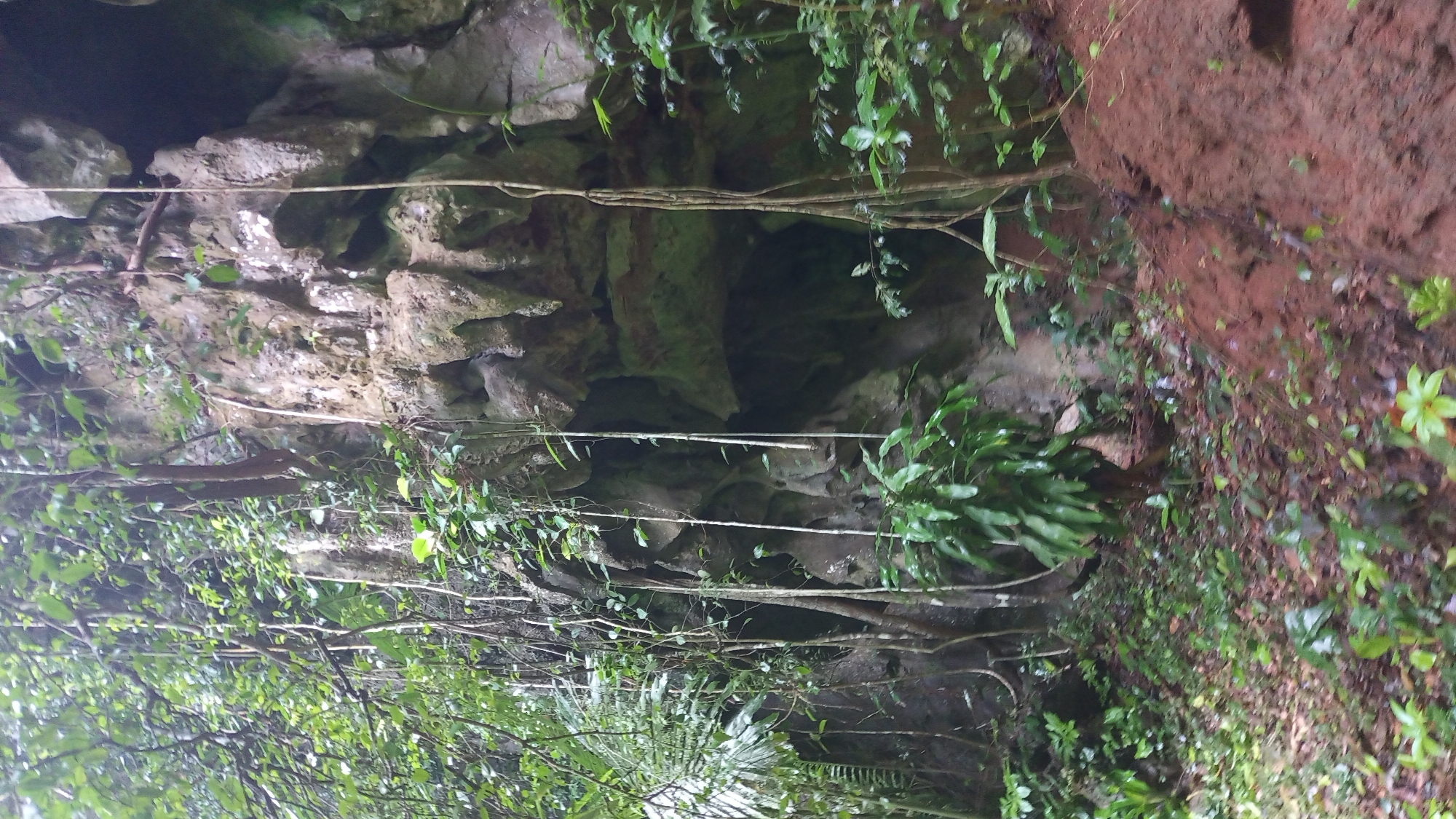 The image depicts the entrance to a cave in Ban Pak Ra, Thailand. The cave entrance is surrounded by rock formations covered in vegetation, including vines and ferns. The cave itself is dark and appears to be made of layered rock. There is some visible soil on the right side of the image. No people are visible in the scene.