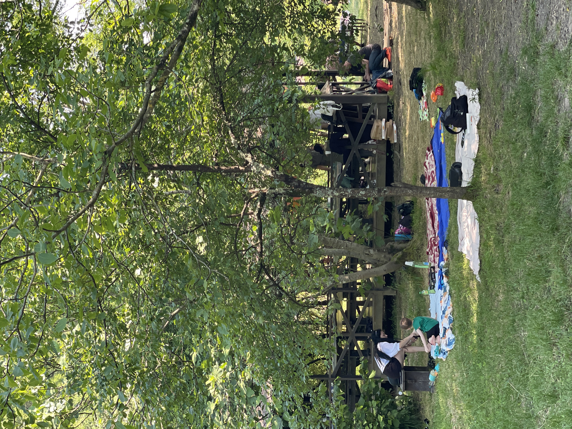 The image, set in an outdoor leisure area in the city of Sochi, Russia, captures a scene of casual activity under dappled sunlight filtering through a dense tree canopy.
The environment consists of a grassy foreground interspersed with patches of exposed dirt, leading to a raised wooden platform in the midground. The platform features railings, wooden tables, and benches, suggesting a communal dining or rest area. Behind the platform and throughout the upper portions of the image, numerous deciduous trees with full green foliage are prominent, indicating a warm season. The lighting is bright, creating areas of sun and shadow.
Multiple individuals are present. In the immediate foreground, a female with long dark hair, wearing a white long-sleeved shirt and dark shorts/skirt, sits on a wooden bench or box. She is facing towards a young child with reddish hair, dressed in a green t-shirt and light shorts, who is seated on a blue and white patterned blanket. The female appears to be interacting with the child, possibly adjusting an item near the child's leg. On the same blanket, a small light-colored plush toy and a green bottle are visible.
To the right of the central tree in the midground, an adult male, wearing a dark t-shirt, blue jeans, and bright orange shoes, crouches or sits on a wooden surface next to the platform. He is looking down at a mobile phone. A red plastic bag is situated beside him.
On the wooden platform, at least three other individuals are discernible. One person, wearing a dark top, stands near a table on the left side of the platform. Another, in a white top, is visible further right on the platform. Their actions are largely obscured by foliage and the platform structure, but they appear to be resting or socializing.
Various objects are scattered across the grassy area. A large blue tarp or blanket is spread out centrally, with a red and white patterned blanket to its left. On the right, a white blanket holds a black backpack, a dark thermos-like object, and a small black rectangular device. Colorful plastic toys (orange, red, yellow) are visible on the grass between the blue tarp and the white blanket. Near the base of the platform, a stack of approximately five white pizza boxes is placed on the ground. A light blue tote bag hangs from the platform railing on the far left.