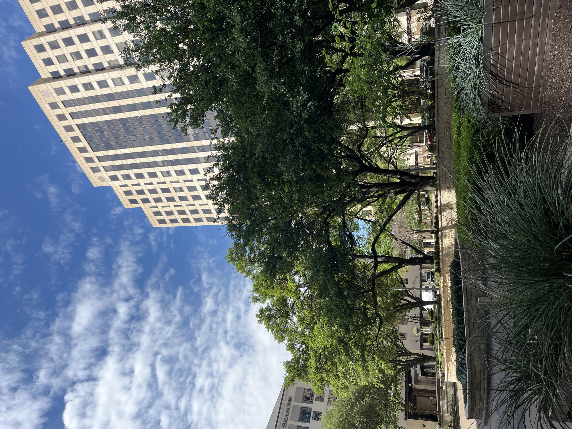 The image shows a park setting in Austin, Texas. A tall, modern skyscraper is visible in the upper left corner, contrasted by the natural elements of large, mature trees. Wispy clouds fill the blue sky in the background. In the foreground, there is a raised planter area with lush green plants and a wall made of wooden planks. Further down the park, there are more buildings, including one with the word "SEASONS" visible on its facade. Trees line the park, suggesting a tree-lined street or walkway.