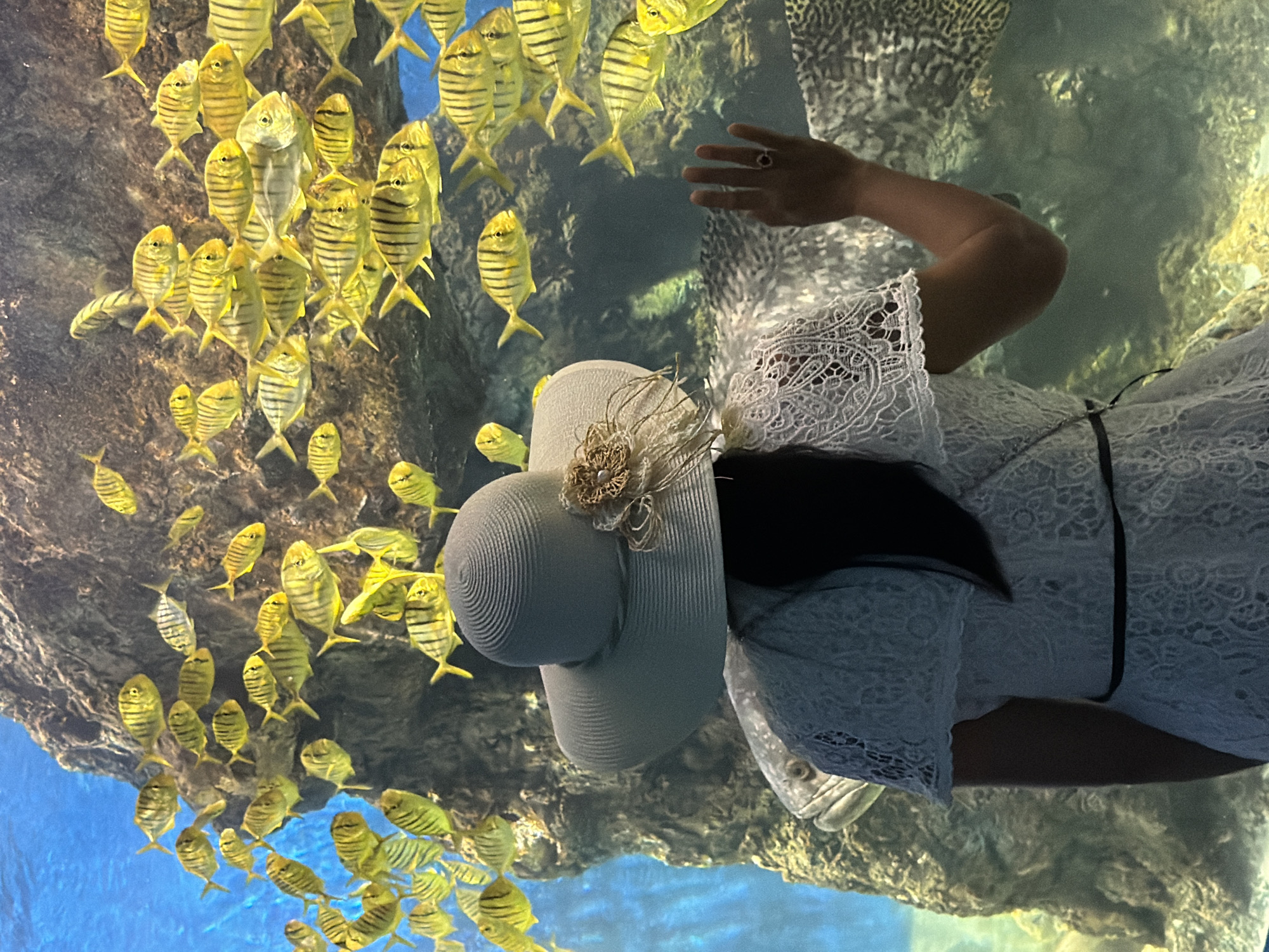 A person wearing a white lace dress and a wide-brimmed hat with a floral embellishment stands with their back to the camera, looking into a large aquarium. The aquarium contains numerous yellow fish with black stripes, swimming near a rocky outcrop. A larger, patterned fish is partially visible in the lower right quadrant of the image. The person's right hand is raised, palm facing outwards, with a ring on one finger, seemingly interacting with the aquarium glass. The environment suggests an aquarium in Nha Trang, Vietnam, possibly at Tri Nguyen Aquarium on Hon Mieu Island, known for its diverse marine life and unique architecture resembling a shipwreck.