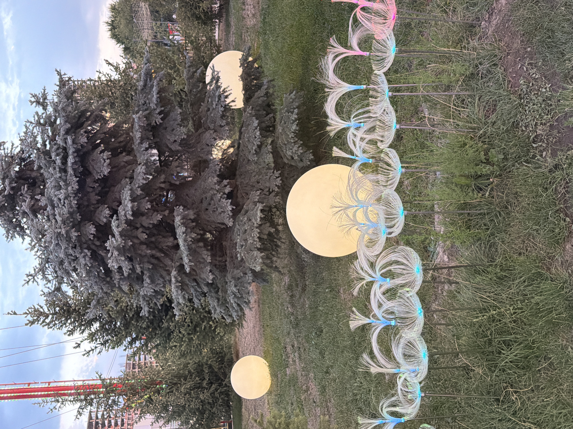 This is a ground-level, eye-level outdoor shot of an illuminated art installation in a grassy park area. The installation consists of numerous upright stems with glowing, dandelion-like tops made of fiber optic material, illuminated in white, blue, and pink. Behind the fiber optic plants, three large, spherical, illuminated orbs are visible, casting a warm yellow light on the ground. In the background, a large evergreen tree dominates the scene, with other trees and vegetation present. To the left of the evergreen, a tall red structure with colorful lights and some construction buildings are visible under a cloudy sky.