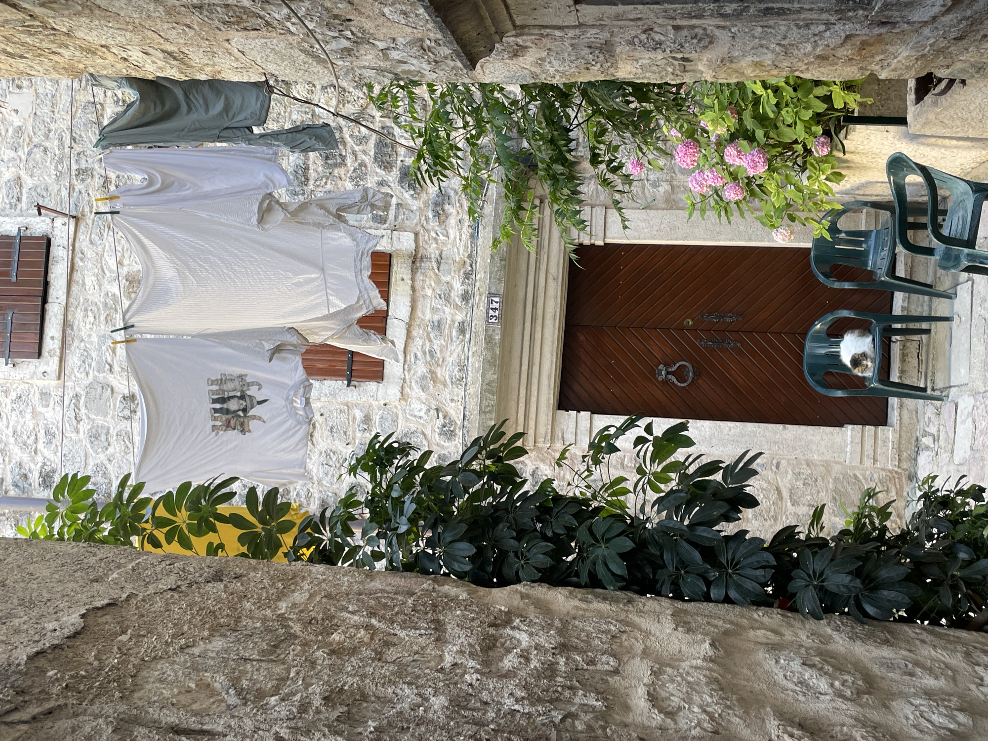 This is a street scene in Kotor, Montenegro. The image shows a narrow alleyway between two stone buildings. Laundry is hanging on a line strung across the alley. In front of a wooden door, there are three green plastic chairs. A cat is sitting on the leftmost chair. Pink hydrangeas are in bloom to the right of the door. The stone walls are rough and aged. The overall impression is one of a quiet, lived-in urban space.