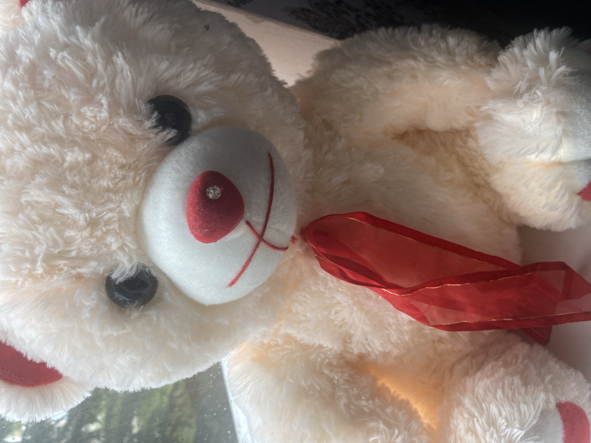 A close-up shot features a creamy white teddy bear with red inner ears and a red nose adorned with a small, clear gem. The bear wears a sheer red ribbon tied around its neck, accented with thin gold trim. The teddy bear's fur is soft and fluffy, and its black eyes are round and glossy. The background appears to be a window with a slightly blurred view of greenery, suggesting an outdoor setting. The lighting casts a warm glow on the bear's fur.