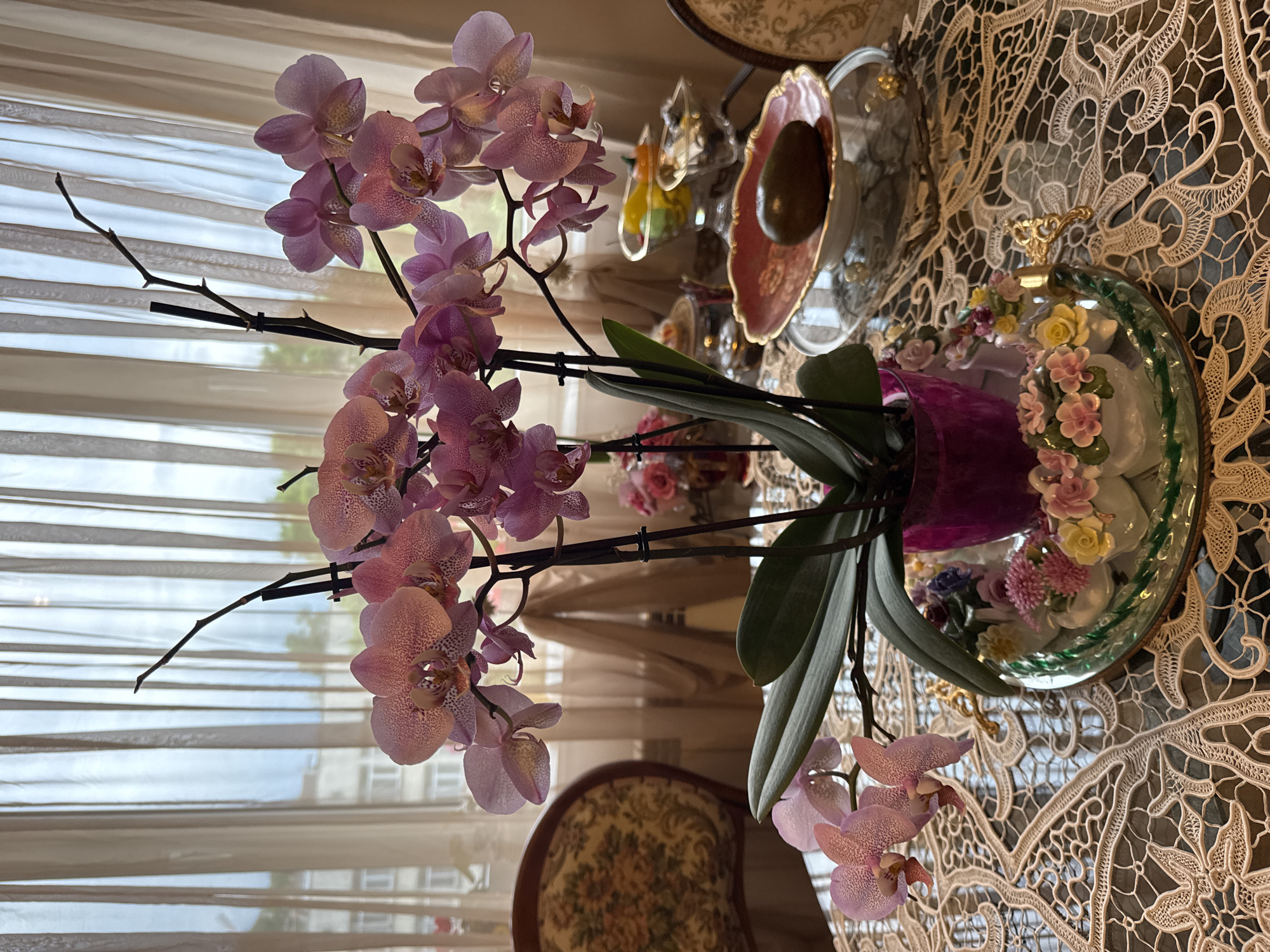 The image depicts a domestic scene, likely indoors in Plovdiv, Bulgaria, featuring a prominent orchid plant with pale purple, speckled flowers and long, dark green leaves in a purple vase. The plant sits on a table covered with an intricate, lace tablecloth. Behind the orchid, a window with closed, light-filtering blinds is visible, suggesting daylight. Other decorative items, including plates, bowls, and possibly floral arrangements on stands, are scattered on the table in the background. A small portion of a chair with patterned upholstery is visible in the foreground. The overall impression is one of a richly decorated, possibly antique-filled interior.