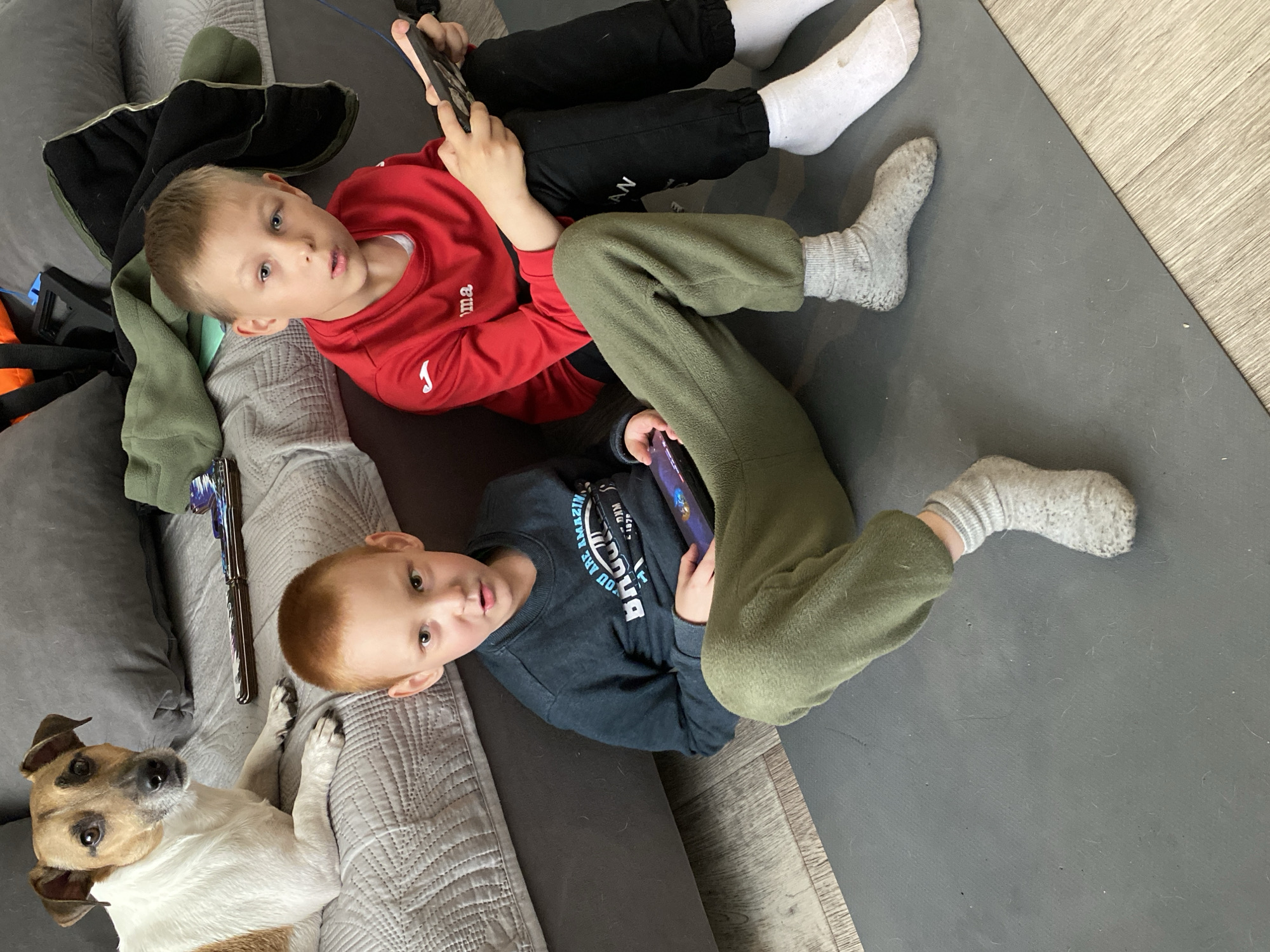 Two young boys and a dog are indoors. The boys are lying down, each holding a smartphone. One boy is wearing a red shirt and black pants with white socks. The other is wearing a gray shirt and olive green pants with gray socks. The dog, which is tan and white, is lying on a gray cushion. The location is Noviy, Russia.