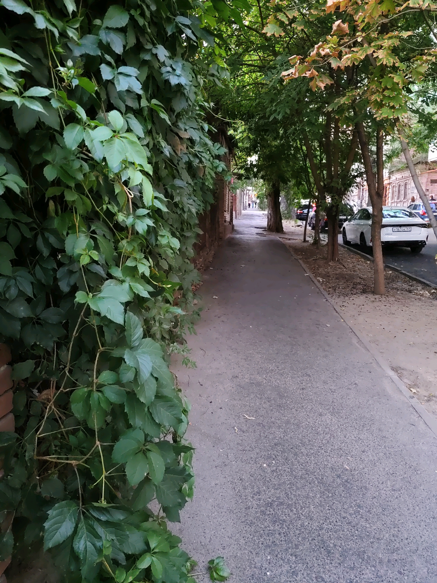 The image shows a street scene in Rostov-on-Don, Russia. A sidewalk runs along the right side of the image, bordered by a street with parked cars. On the left side of the sidewalk is a brick wall covered in dense green ivy. Trees with green and some browning leaves line the street. The sidewalk is paved with asphalt and there are fallen leaves and debris on the ground. In the background, buildings can be seen, and a few people are walking on the sidewalk further down the street. A white car with a license plate starting with "Y167" is parked on the street.