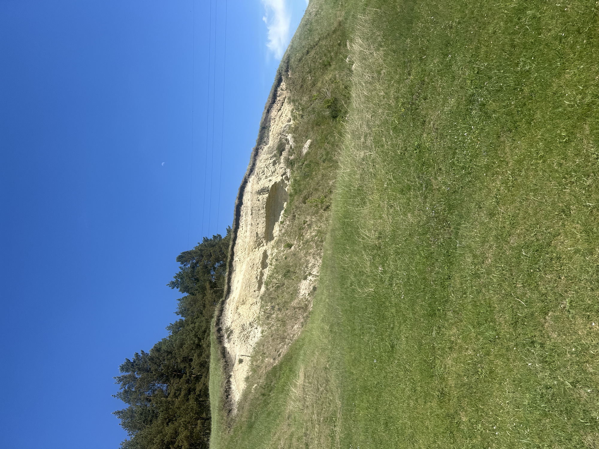 The image depicts a grassy hillside in daylight. The hillside has a prominent eroded cliff face of light-colored sediment or rock. The top of the hill and the area in front of the cliff face are covered in green grass. A line of dark green trees runs along the base of the cliff. The sky is clear and blue. Power lines are visible near the top left of the image. The location is claimed to be the city of Pakhynia, Ukraine, but this cannot be confirmed from the image. There are no people visible.