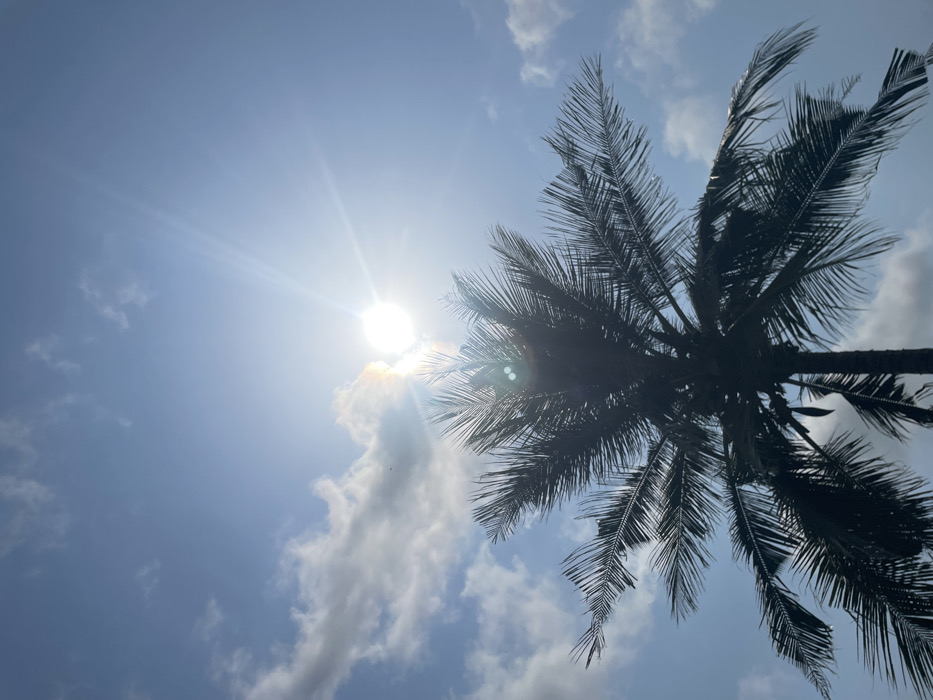This forensic description details a bright outdoor scene in Mosafejaw, Nigeria. The image is dominated by a tall, dark-silhouetted palm tree, occupying the lower two-thirds of the vertical frame. Its fronds are clearly visible, fanning outwards against a vibrant sky. The sun, a brilliant white light source, is positioned in the upper-right quadrant, emitting prominent sunbeams and causing noticeable lens flare artifacts on the tree's fronds. The sky is a clear, light blue with scattered white cumulus clouds, primarily in the upper-left portion. A faint, small, dark object, possibly a bird or insect, is discernible in the upper-left sky near a cloud formation. No individuals, human activities, or man-made structures are present.