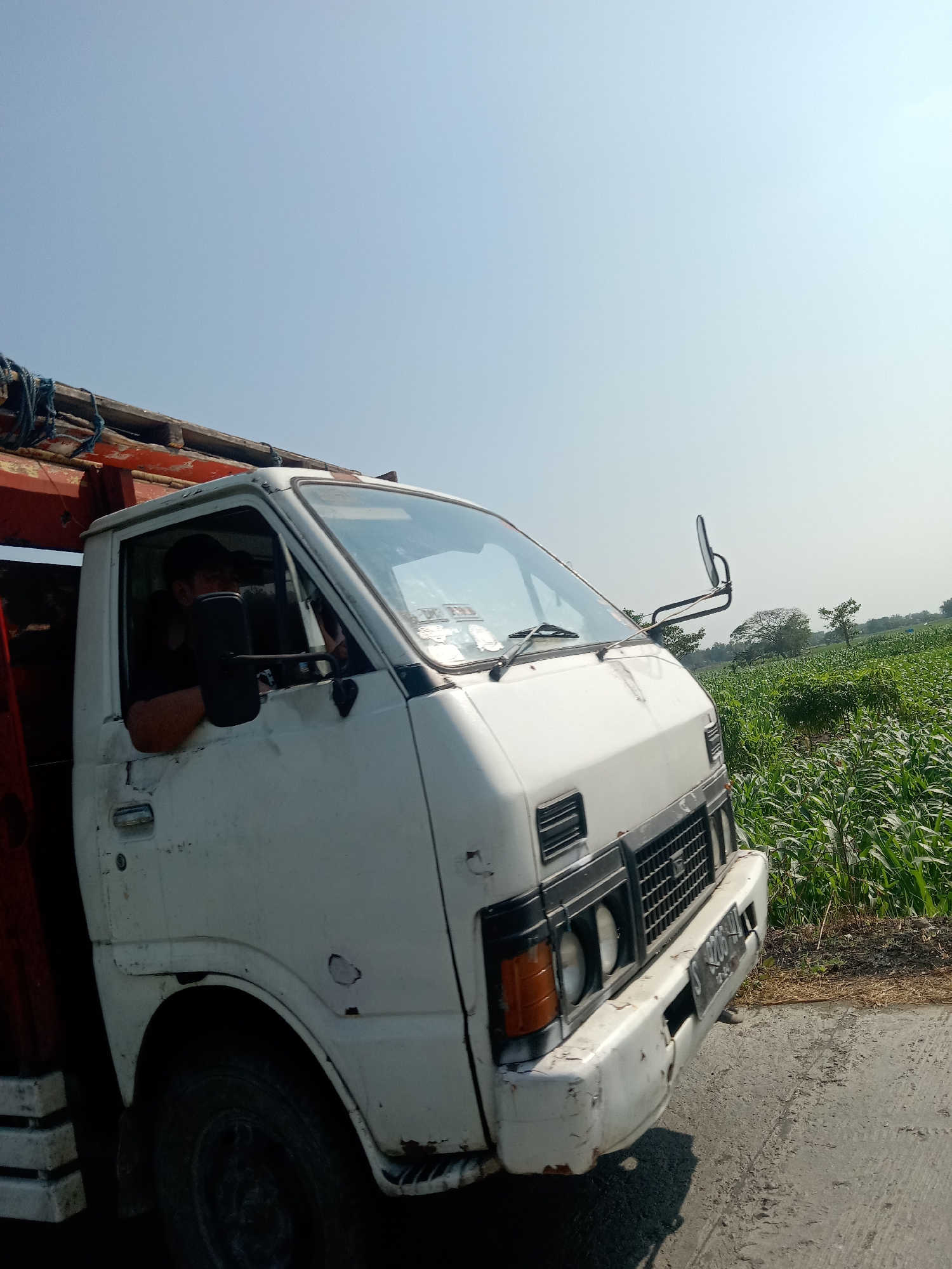 A white truck is parked on the side of a road next to a cornfield. The truck is old and appears to be in disrepair, with visible rust and dents. A person wearing a dark shirt and a black baseball cap is sitting in the driver's seat, looking out the window. The cornfield is lush and green, with rows of corn stretching into the distance. The sky is clear and blue, indicating a sunny day. The location is Tegalkodo, Indonesia.