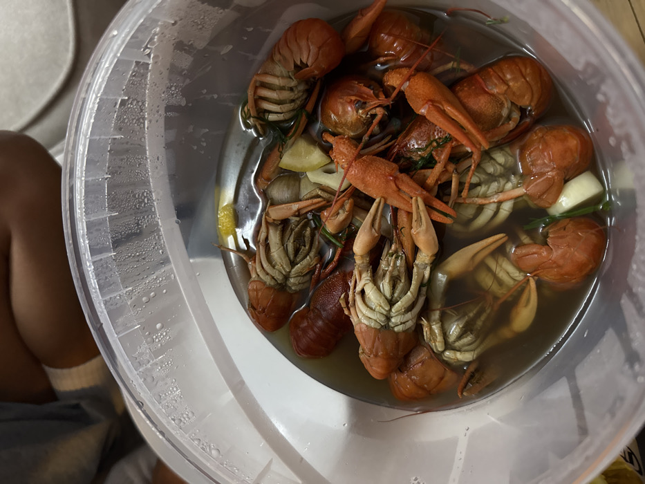 A close-up shot captures a clear plastic bucket filled with cooked crawfish in a broth. The crawfish vary in color from red to gray-brown, mixed with bits of lemon and green herbs. The broth is a murky brown color. The bucket shows condensation. A person's arm is partially visible on the left side of the frame.
