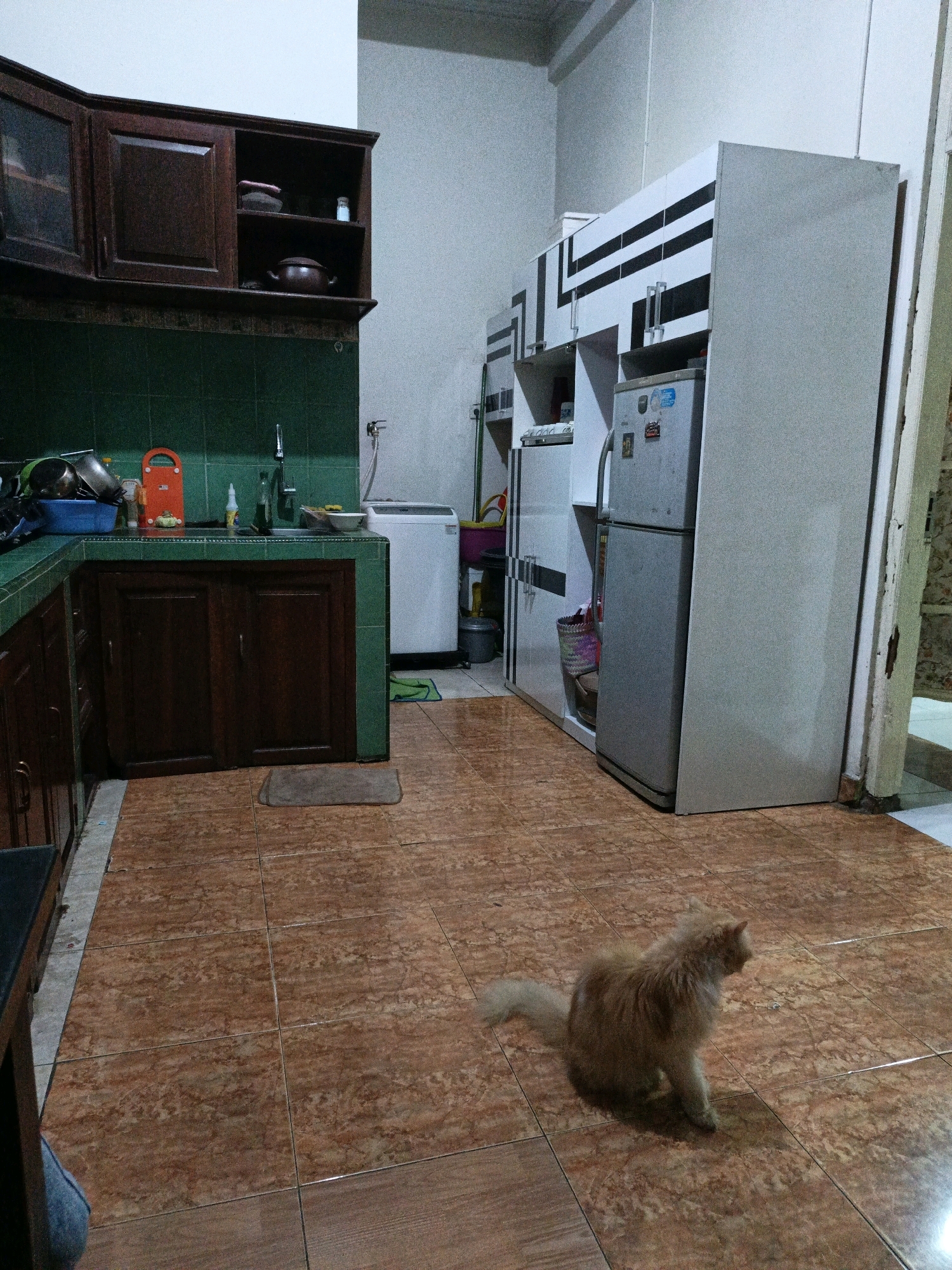 The image depicts an interior scene, likely a kitchen area in a residential property located in Karangpakel, Indonesia. The room is furnished with kitchen cabinets, a refrigerator, and a washing machine. The floor is tiled with a brown, marble-patterned ceramic tile. A fluffy, light brown cat is sitting on the floor in the foreground, facing away from the camera. The kitchen cabinetry is dark wood, with green tiled backsplash. On the countertops, there are various kitchen items, including pots, bowls, and a faucet. To the right, a silver refrigerator stands next to white kitchen cabinets with black geometric patterns. A washing machine is visible in the background to the right of the sink area. The overall lighting suggests it may be evening or an indoor space with artificial lighting. The walls are painted a light color, and there are doorways or openings visible on the far right of the frame.