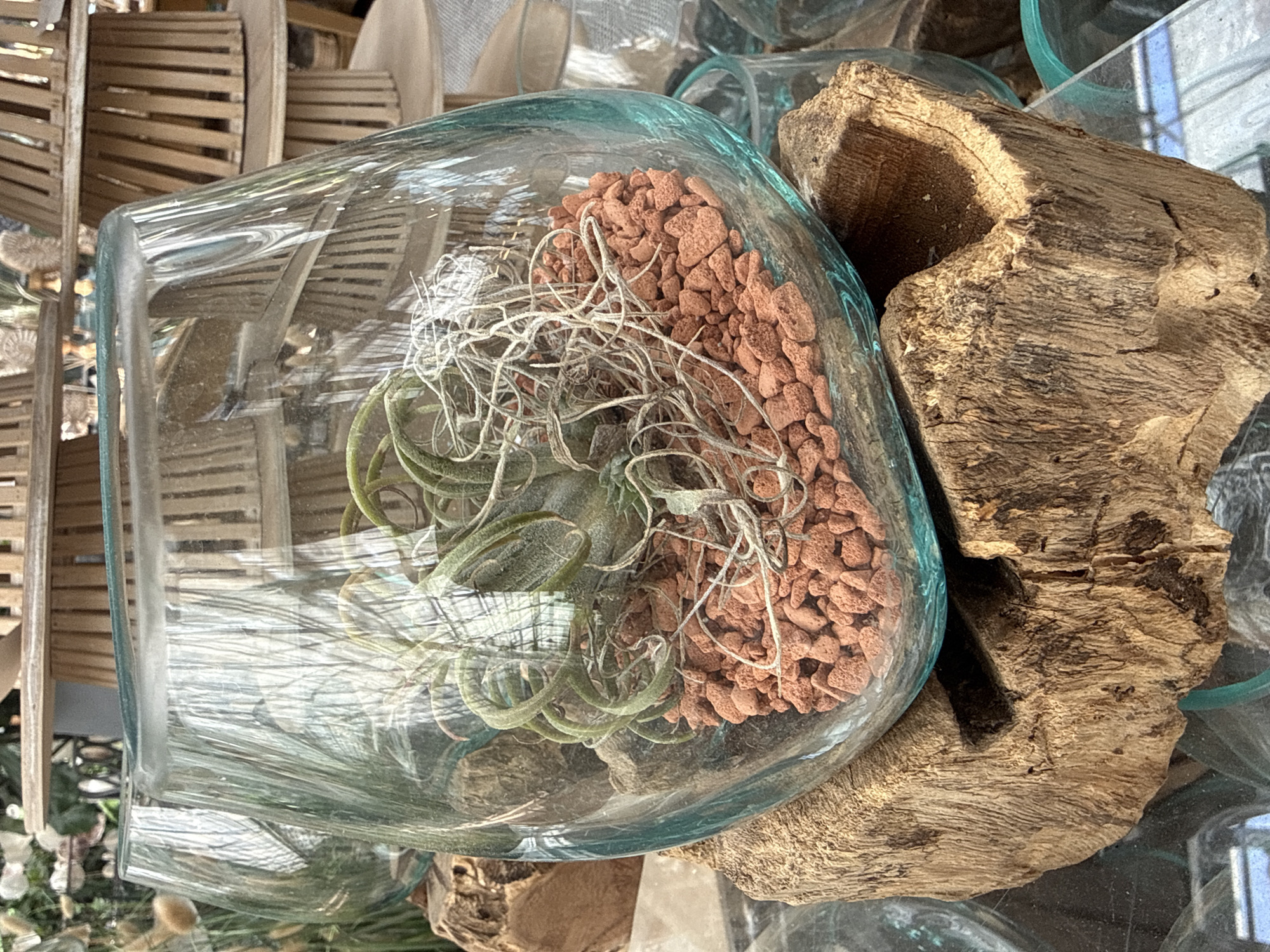 A close-up, eye-level shot captures a glass terrarium containing an air plant and small reddish-brown pebbles, resting on a piece of weathered wood. The terrarium is positioned in what appears to be a retail setting, with shelves holding decorative wooden items and other glass vessels in the blurred background. The lighting is bright, highlighting the textures of the wood and the translucence of the glass. The scene is devoid of any people or observable activity, suggesting a still-life composition focused on the decorative arrangement. The location is identified as Fritzlar, Germany, though no specific landmarks are visible within the frame to corroborate this.