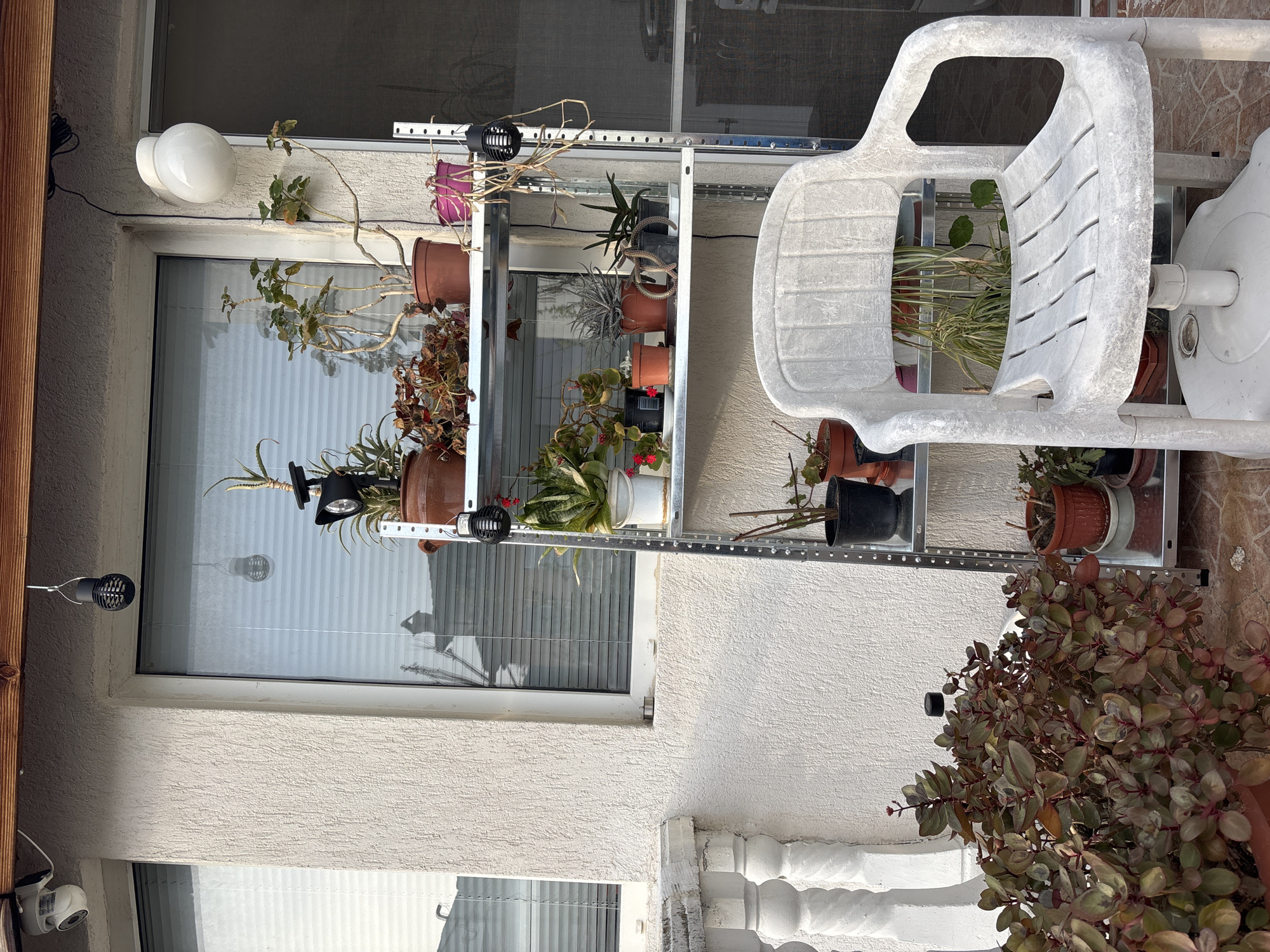 The image shows a section of a building exterior in Asenovgrad, Bulgaria. A window is visible on the left, with a white frame and blinds inside. To the right of the window is a metal shelving unit filled with various potted plants. A white plastic chair is positioned next to the shelving unit, partially obscuring some of the plants. At the bottom right of the image, there is a large potted plant with reddish-brown leaves. The wall is light-colored with a textured surface. A white, decorative railing runs along the bottom edge of the frame. There are outdoor lighting fixtures attached to the wall near the window.