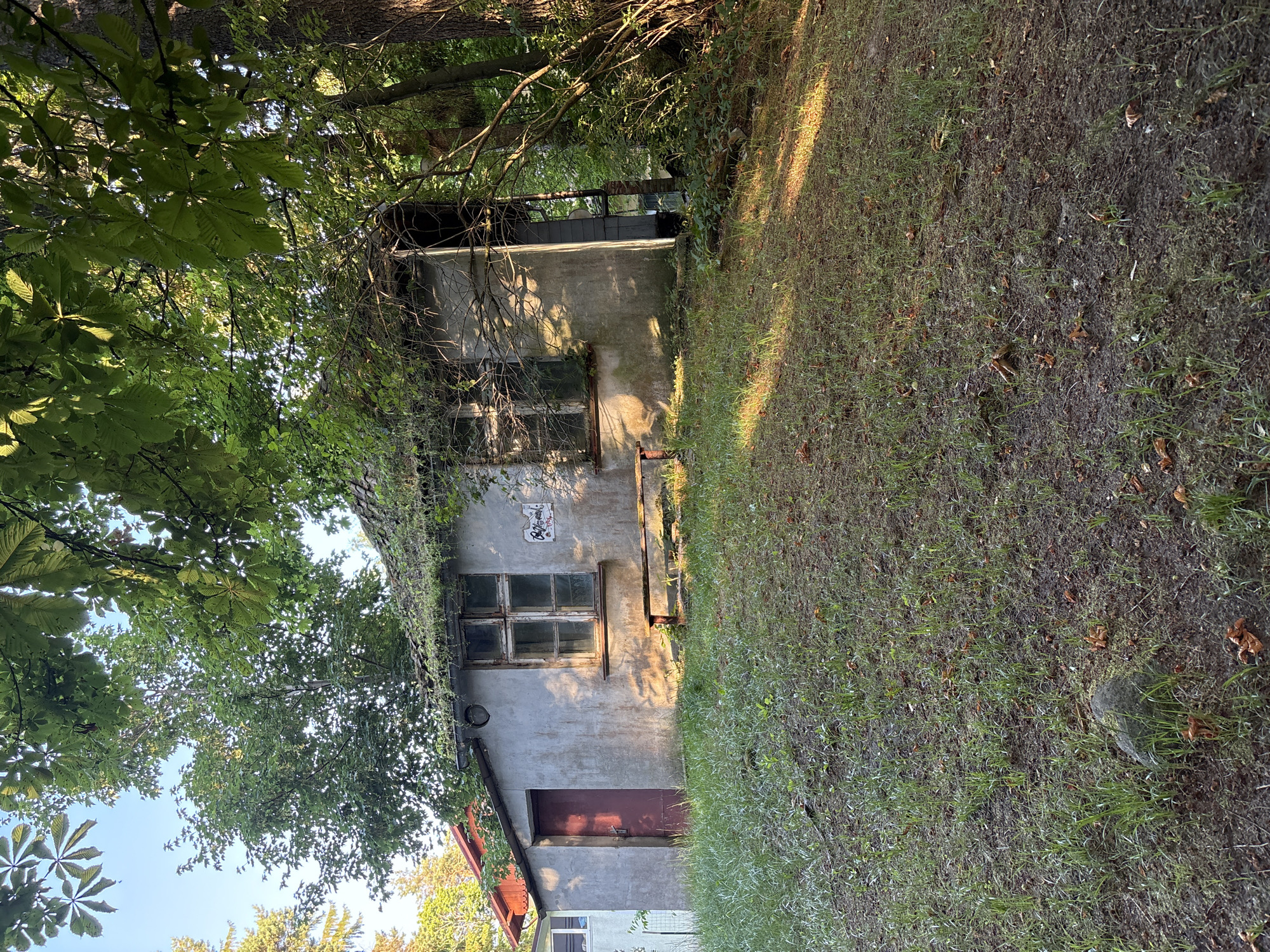 This image depicts an exterior view of a small, weathered building nestled amongst lush greenery. The building appears to be old, with a rough, gray concrete exterior that shows signs of wear and tear. A single, multi-paned window with a distressed wooden frame is visible above a dark red door. A small, rectangular sign with some writing is affixed to the wall above the window. The building is partially obscured by the branches and leaves of trees, suggesting it is located in a natural or overgrown setting. To the right of the building, a grassy area with patches of exposed earth and scattered dry leaves stretches out, indicating a somewhat unkempt yard. The sunlight casts long shadows across the scene, and the golden hue suggests it is late afternoon or early evening. The overall impression is one of an old, possibly abandoned structure in a tranquil, sun-dappled environment. The context of Svetlogorsk, Russia, points to a possibly rural or semi-rural location within this region. There is no visible activity or people in the image.