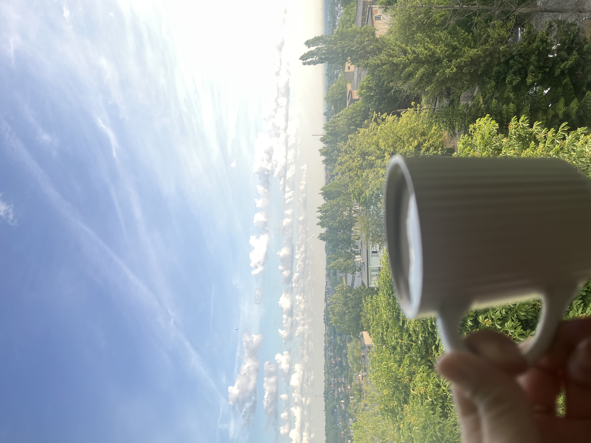 A white mug filled with a dark beverage is held in the foreground, its ribbed texture visible. The mug is positioned in front of a blurred background of lush green trees and foliage, which in turn obscures a distant cityscape under a bright, hazy sky with scattered clouds and contrails. The overall impression is a serene morning or afternoon view from a high vantage point in an urban environment.