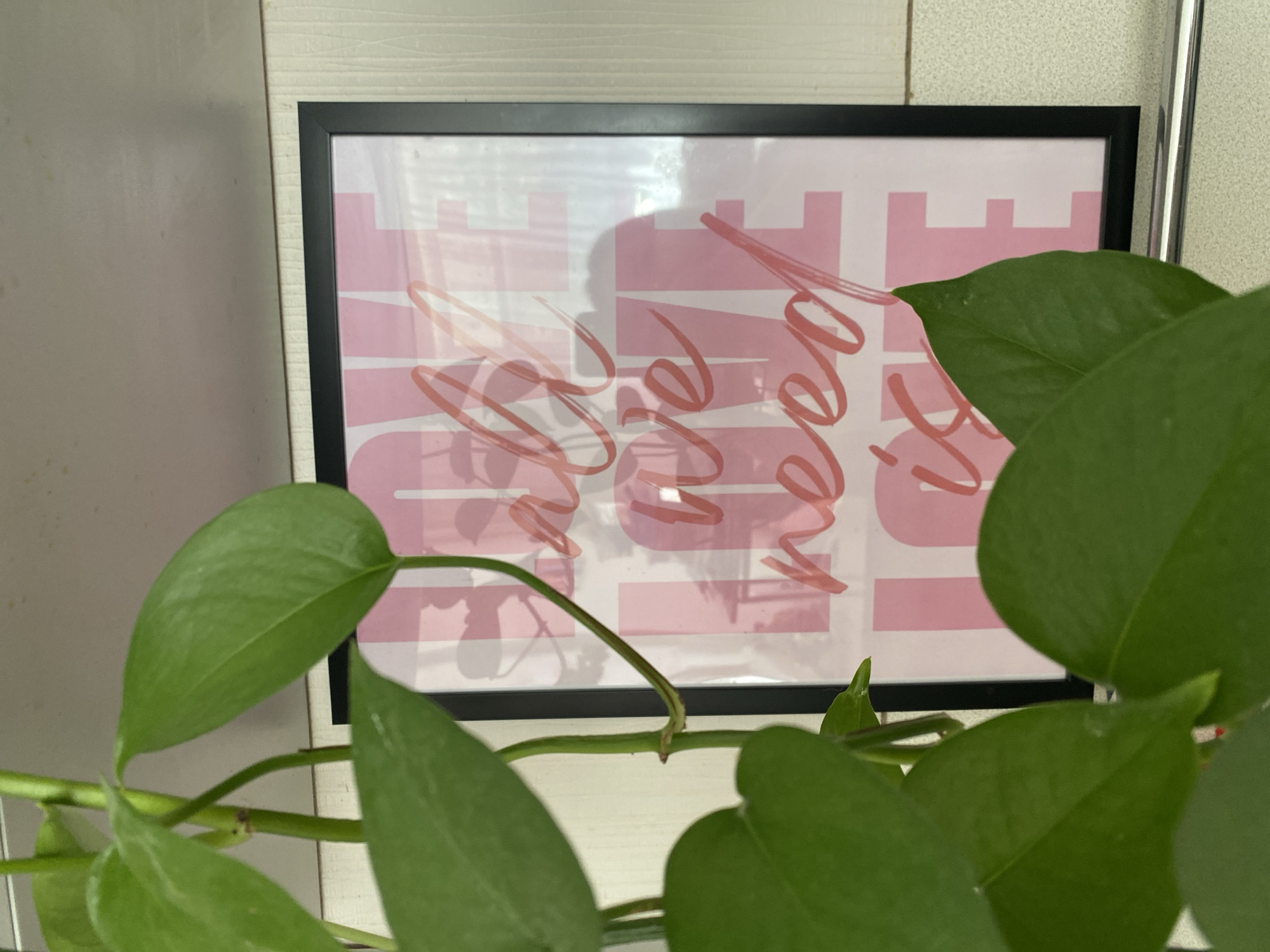 A framed print of the words "all you need is love" in pink and white, with a black frame, is obscured by the foliage of a green plant. The print is mounted on a white wall with a slightly textured surface. The plant's leaves are the primary focus of the image, with the print serving as a background element. There is no evidence to suggest this is located in Izhevsk, Russia.