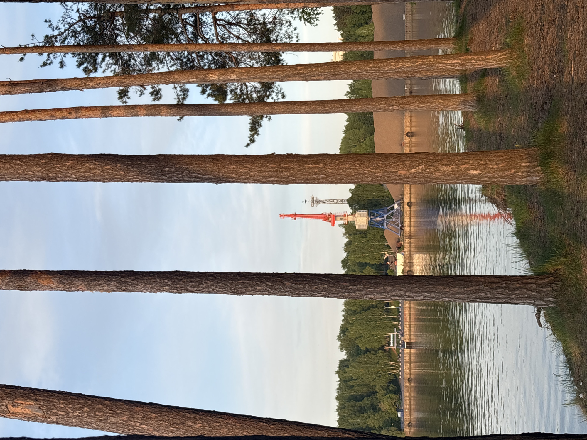 The image shows a view of a crane through a row of trees, likely located near the Kama River in Chaikovsky, Russia. The trees are aligned vertically in the foreground, creating vertical frames through which the background is visible. The background consists of a body of water, possibly the Kama River, with a bank on the opposite side. A red and white crane, as well as an unidentified blue structure, is visible on the far bank. The sky is light blue and appears clear. There are no people visible in the image.